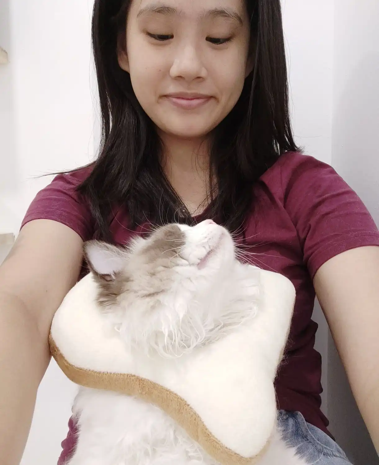 image-5