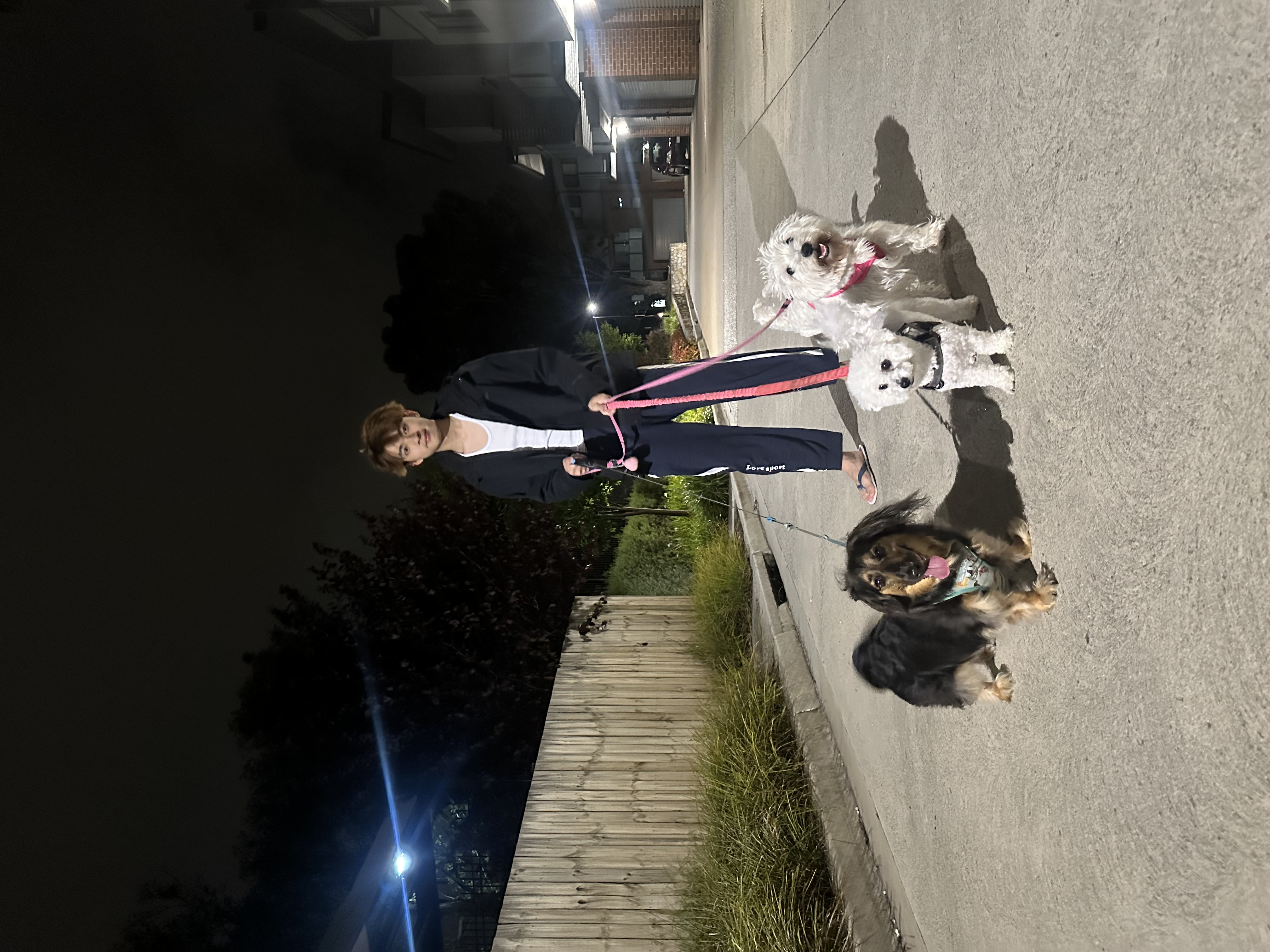 image-26