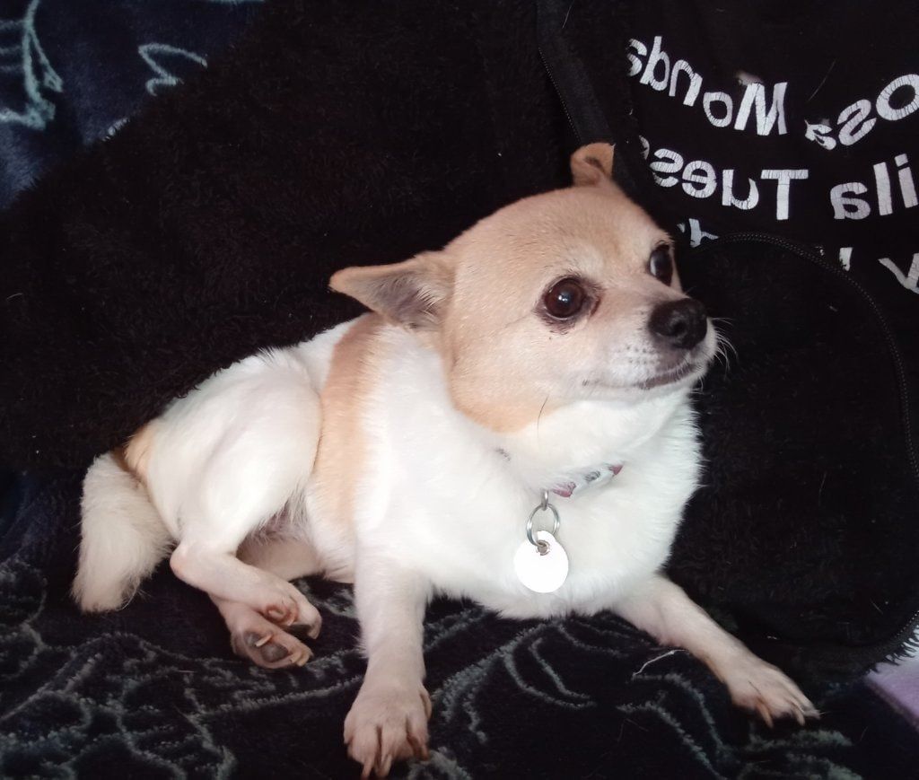 image-12