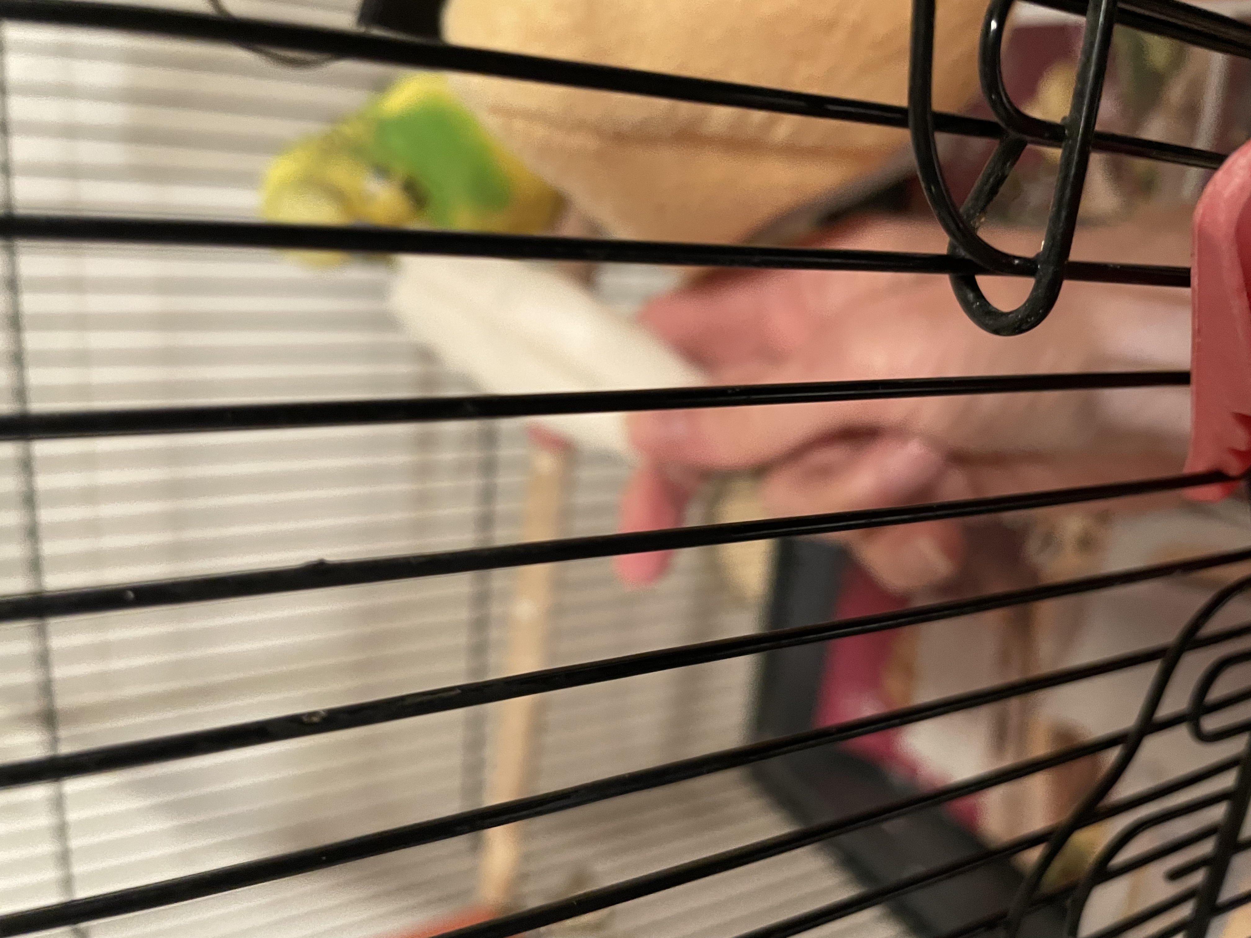 image-13
