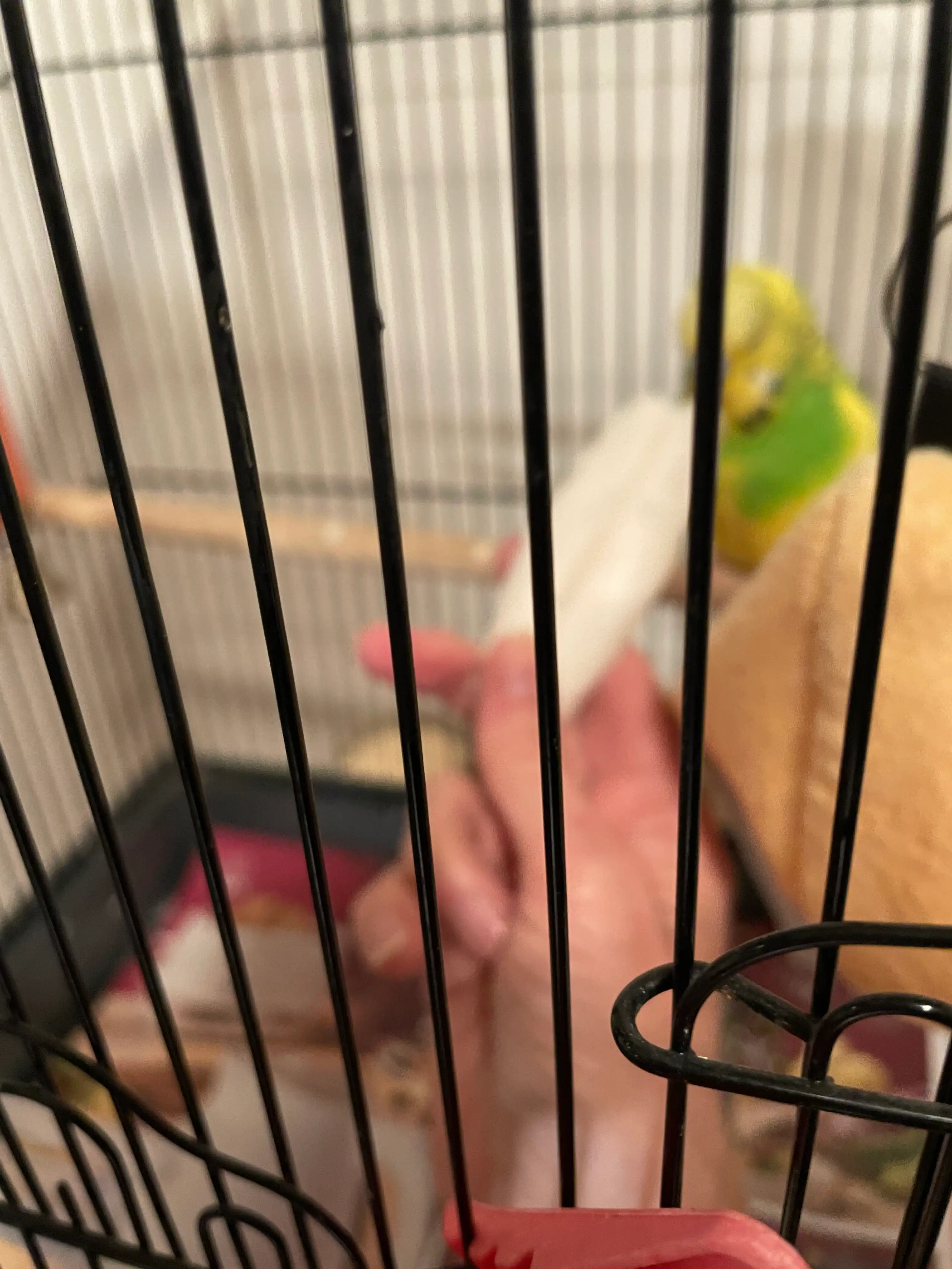 image-13