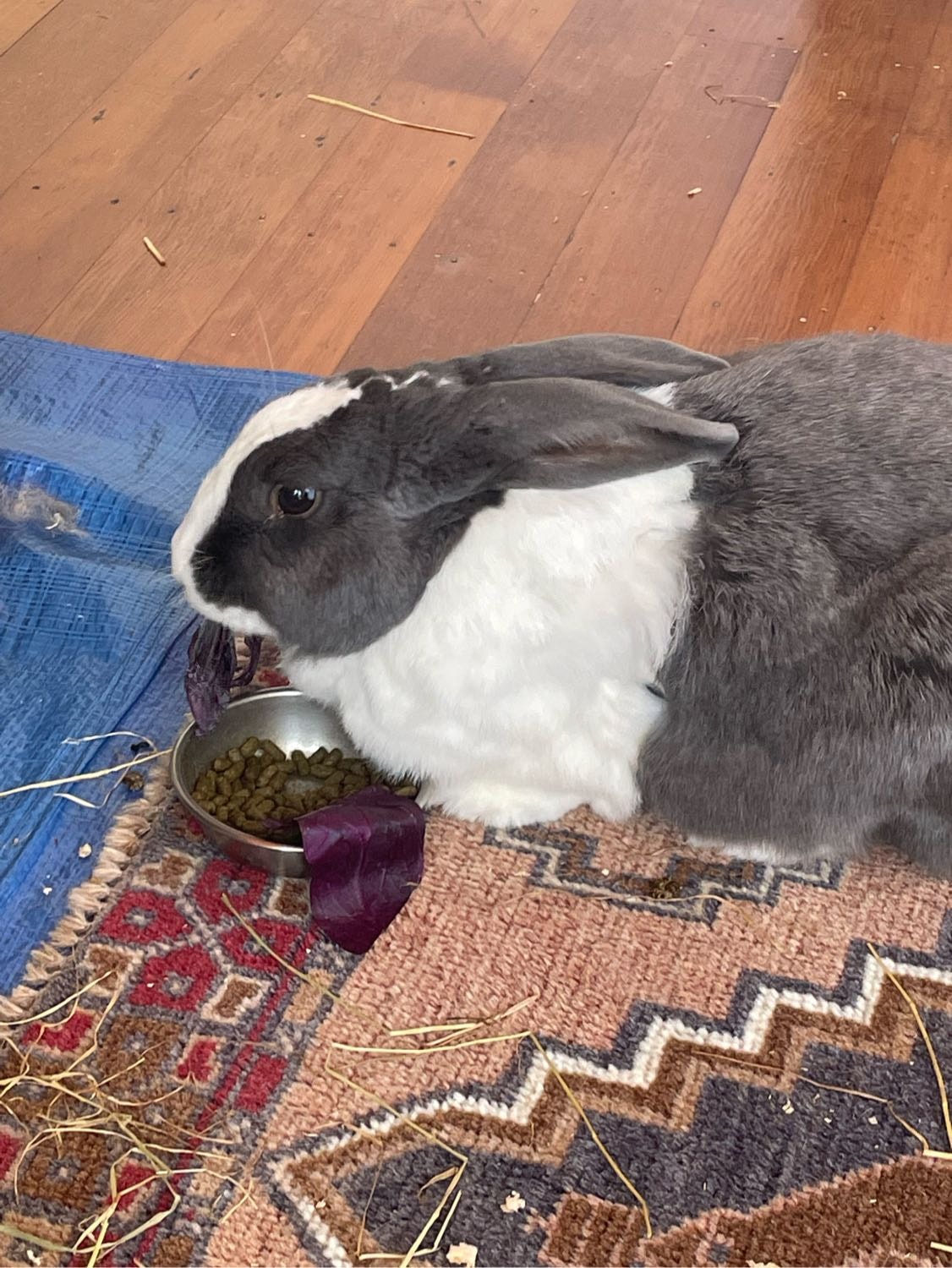 image-13