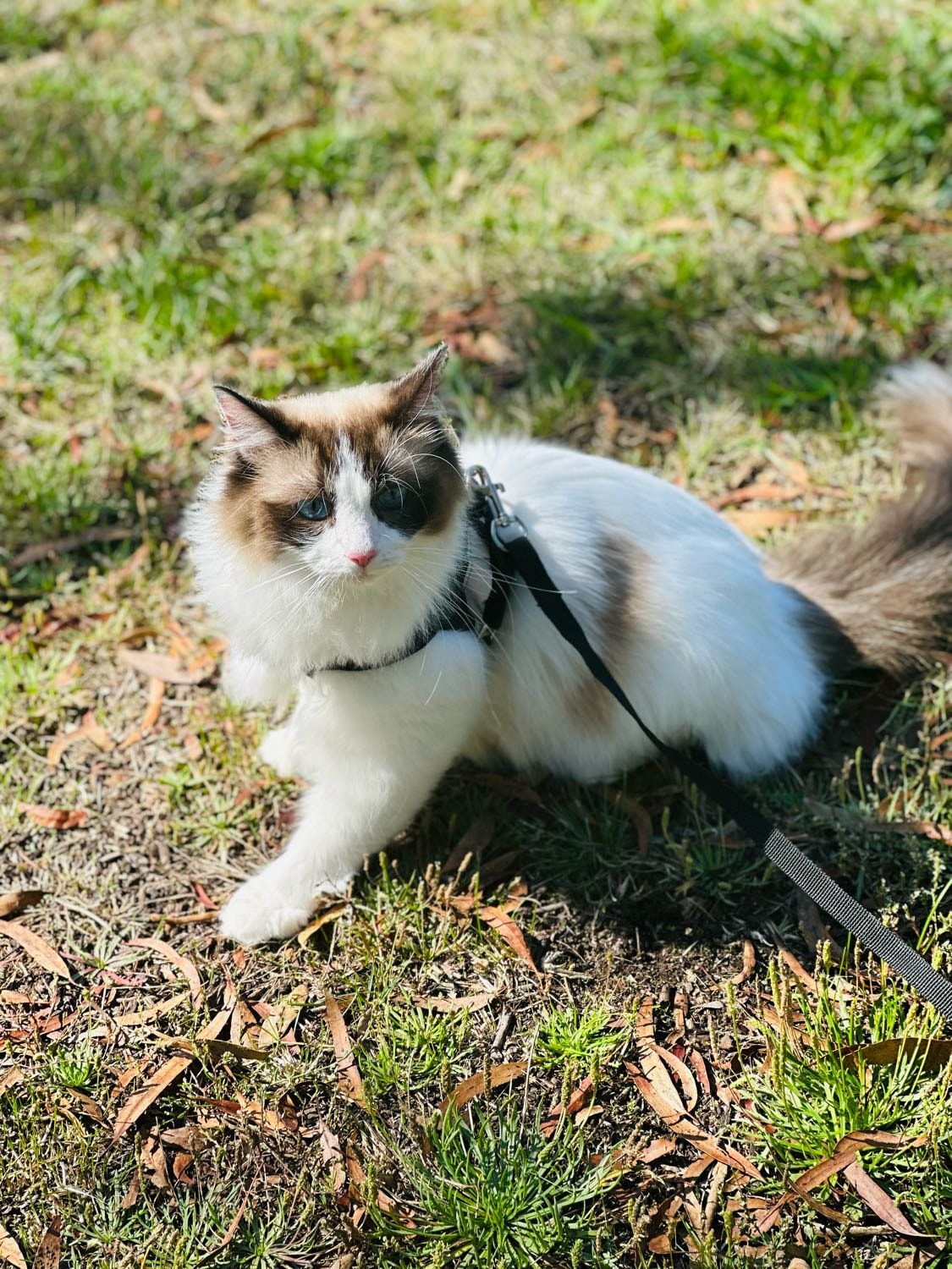 image-8