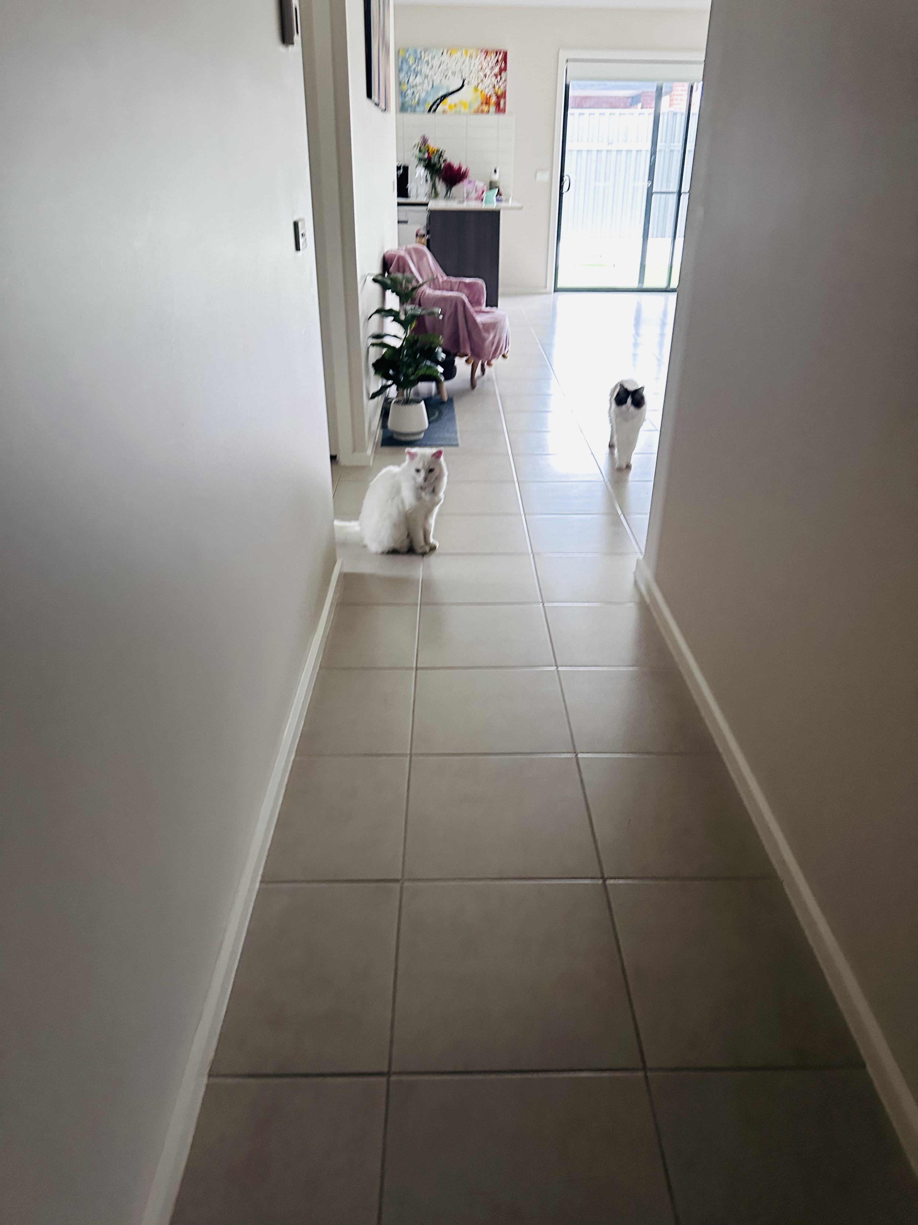 image-34