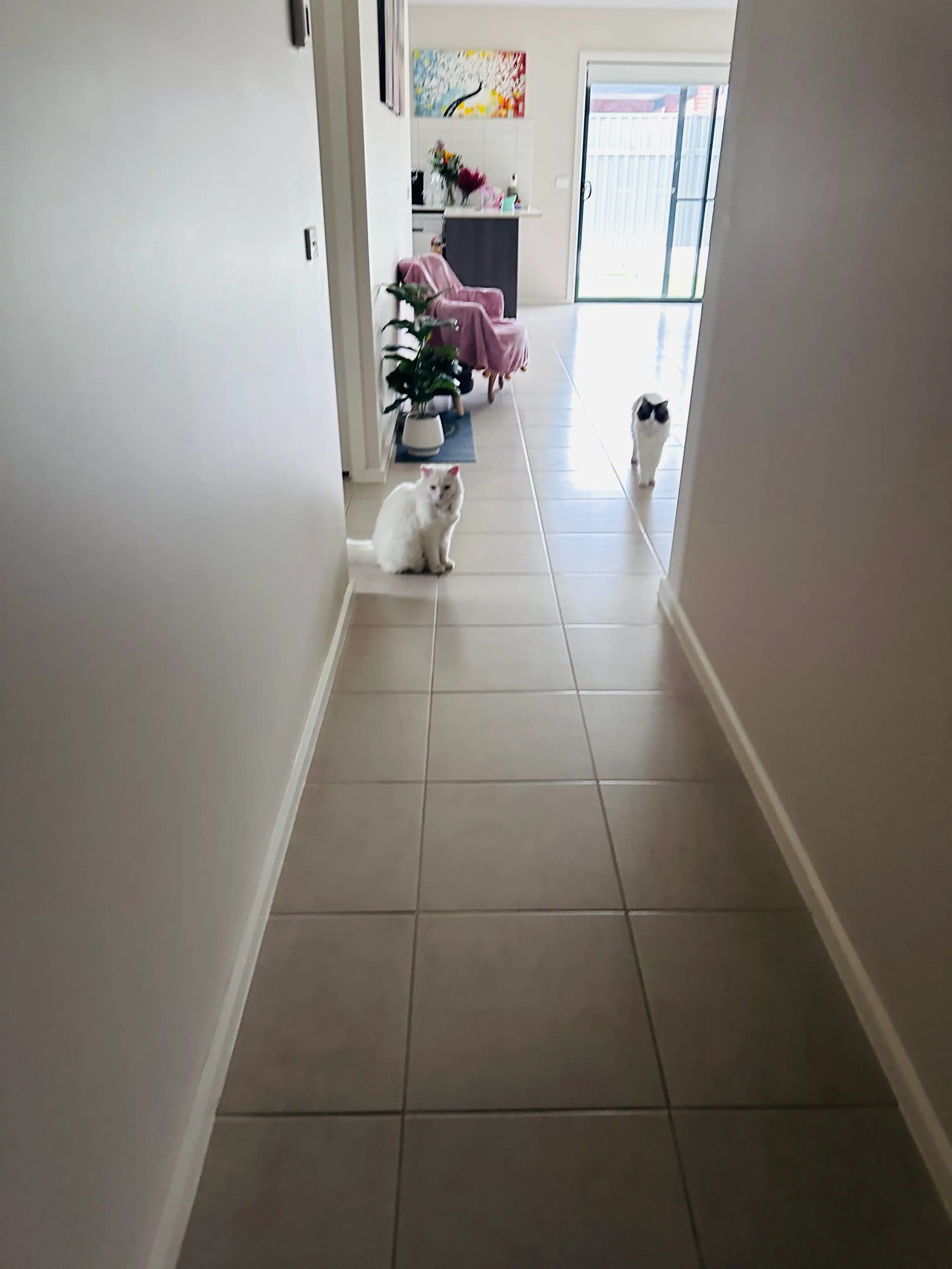 image-34