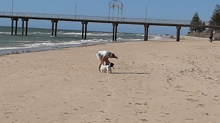 image-7