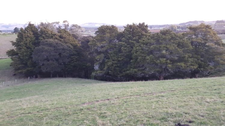 image-6