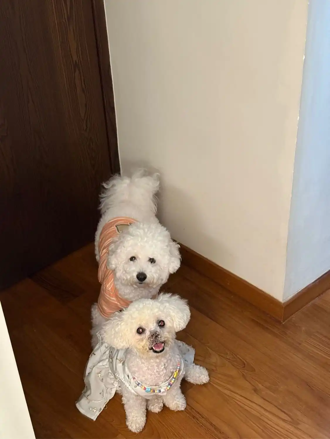 image-18