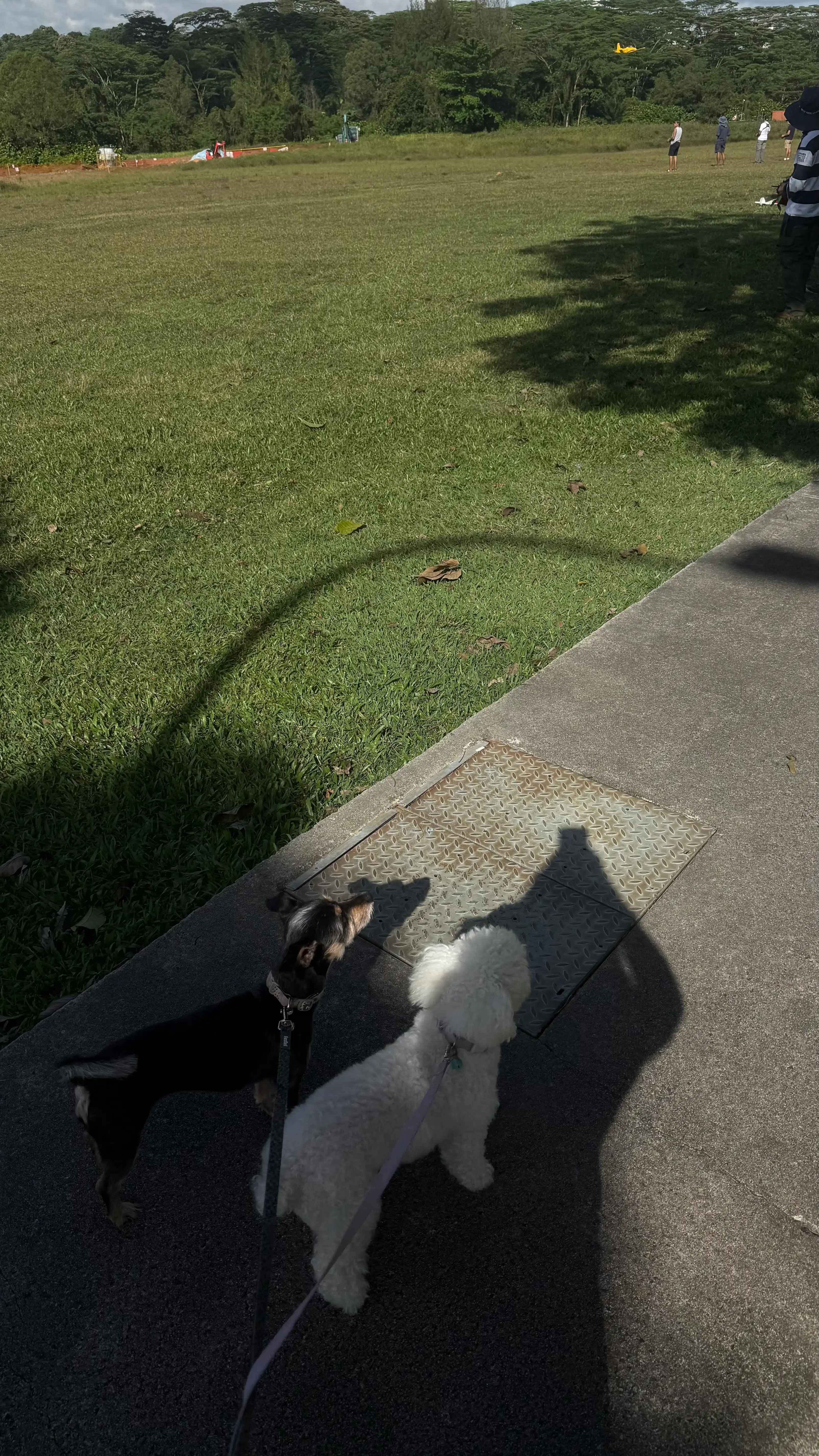image-11