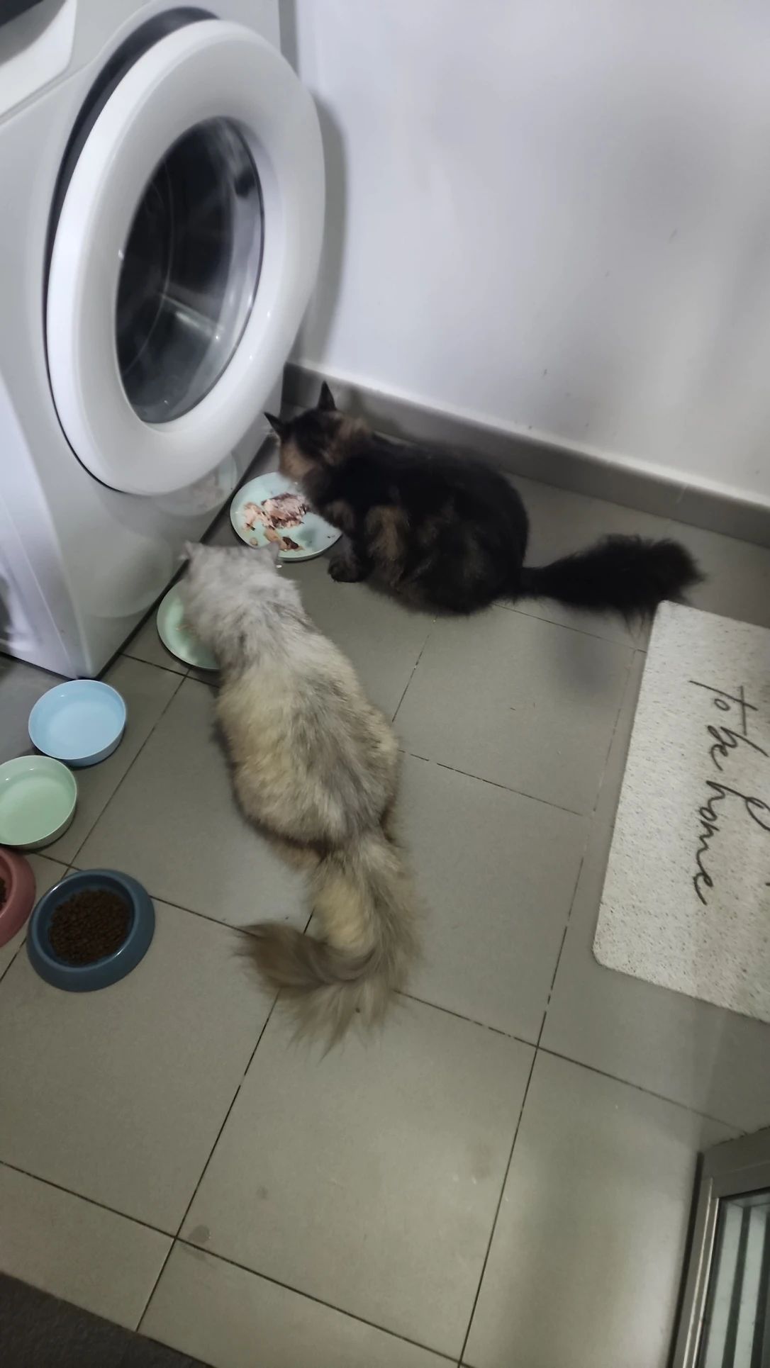 image-8