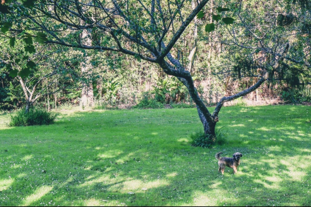 image-17