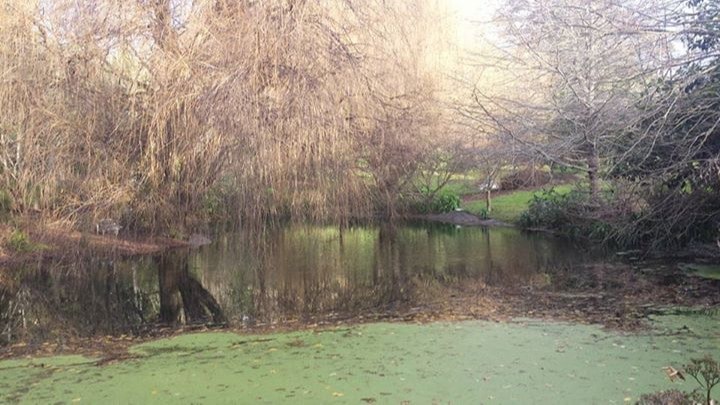 image-16