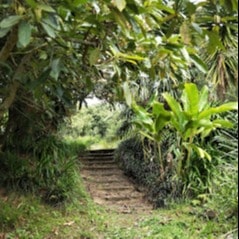image-18