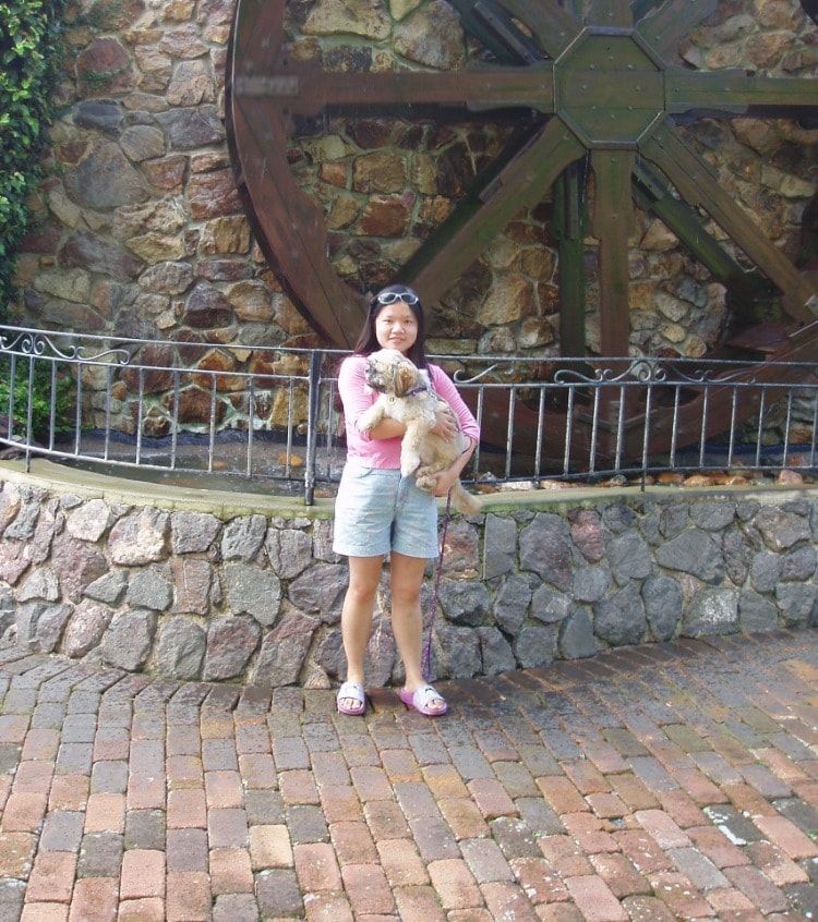 image-3