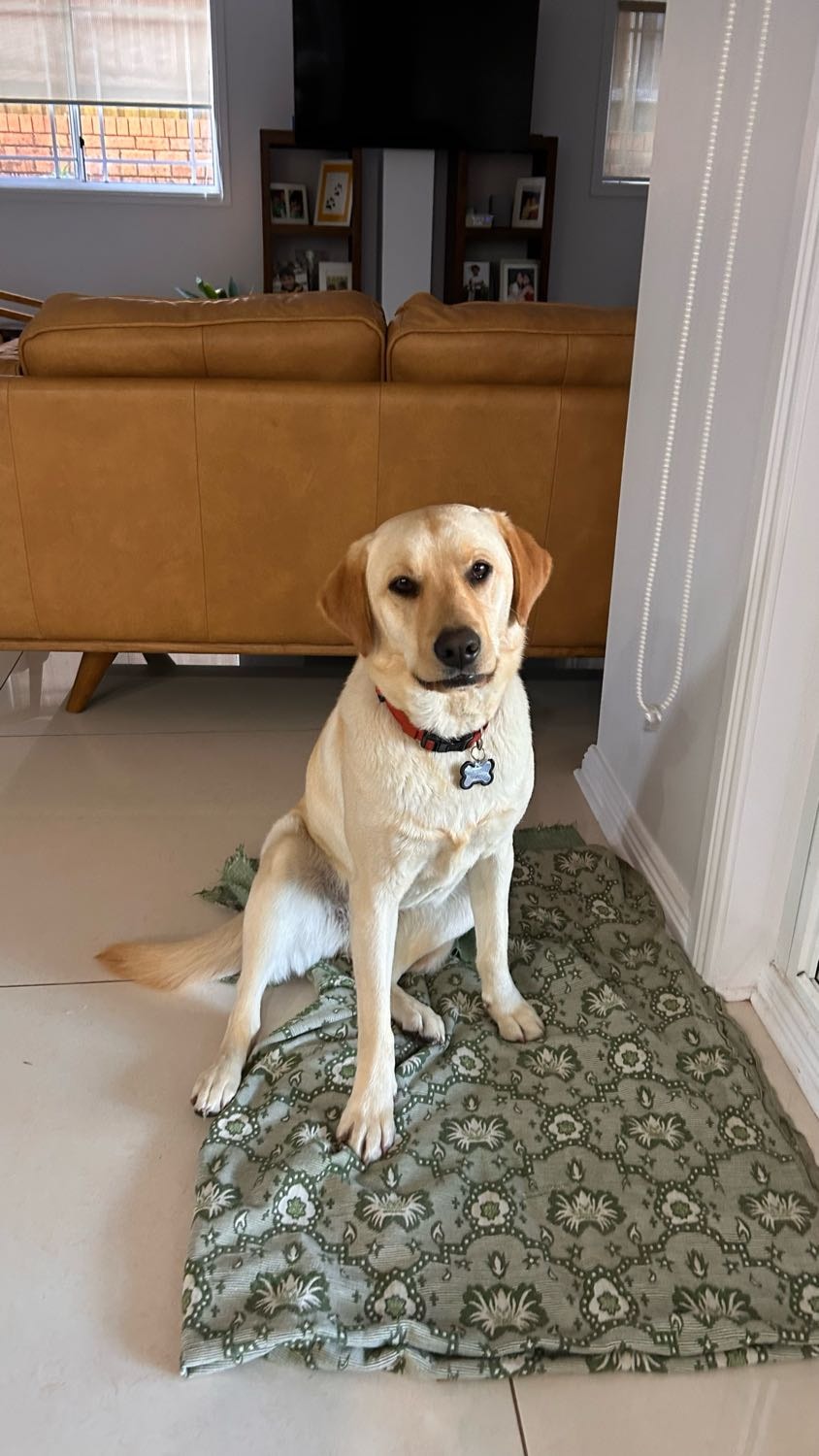 image-28
