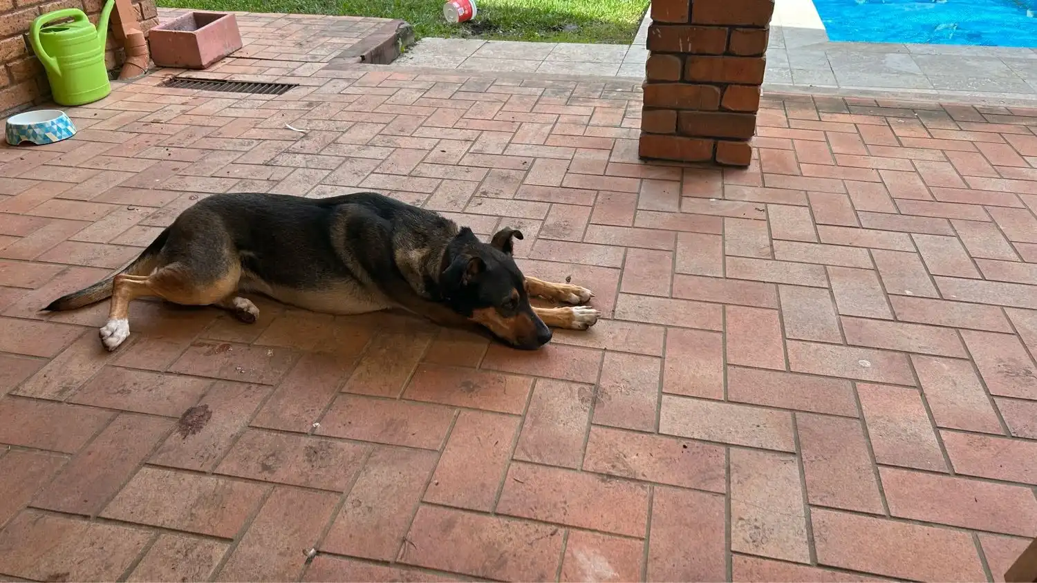 image-23