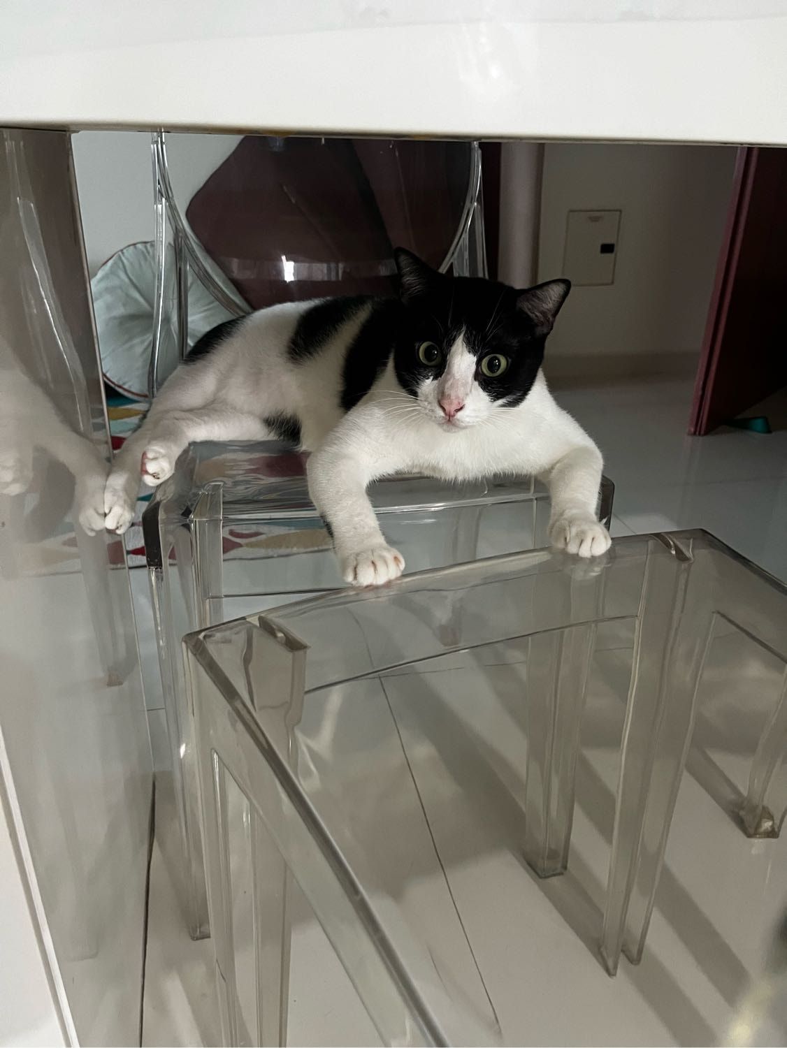 image-6