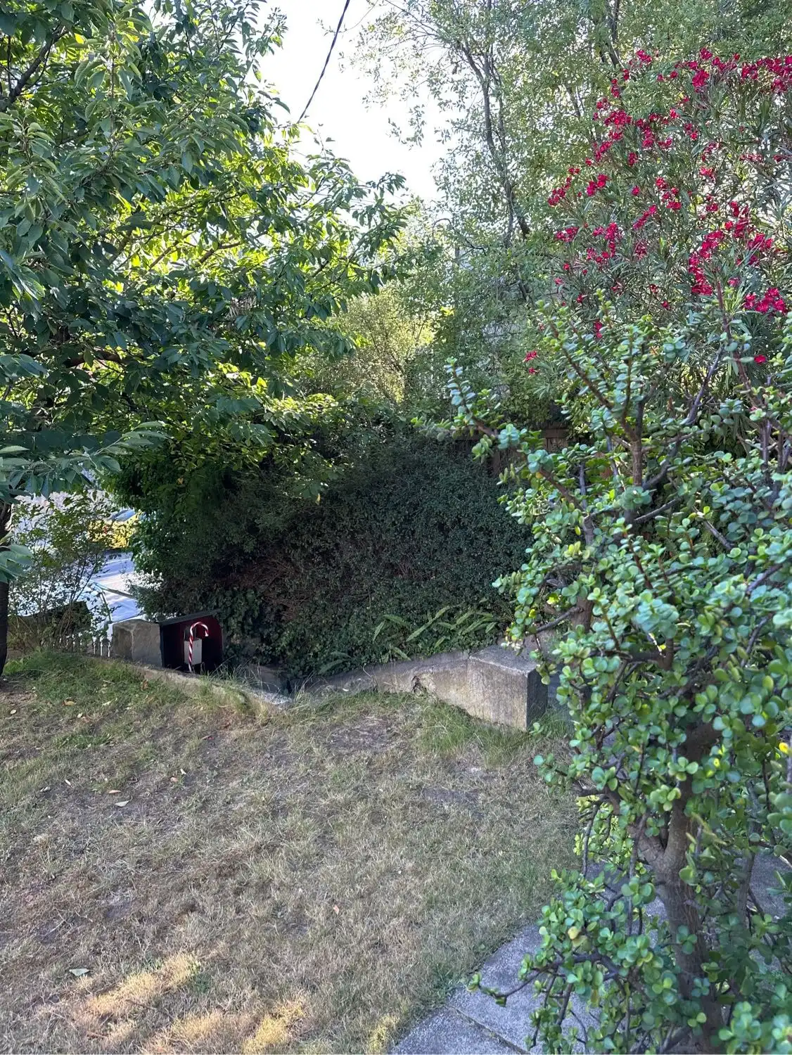 image-9