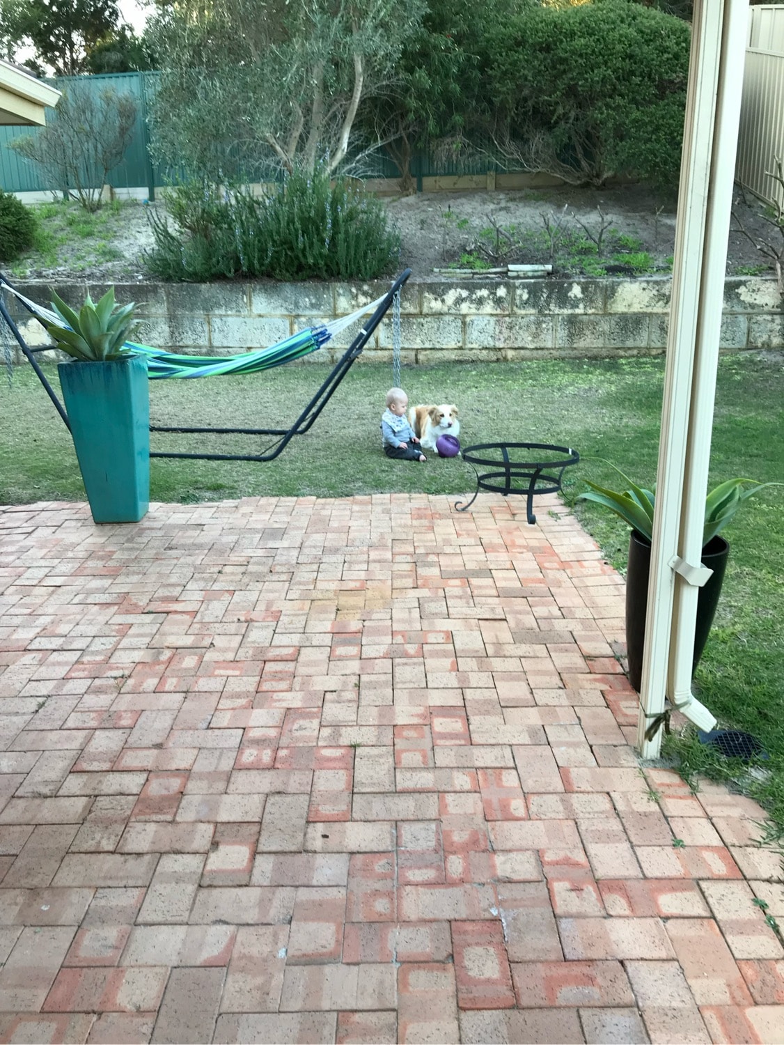 image-4