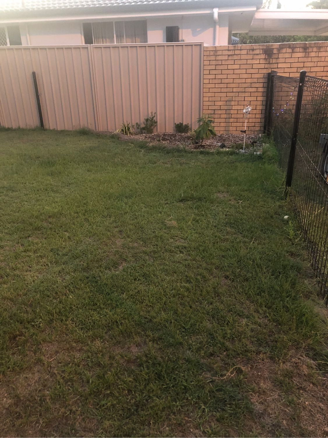 image-7