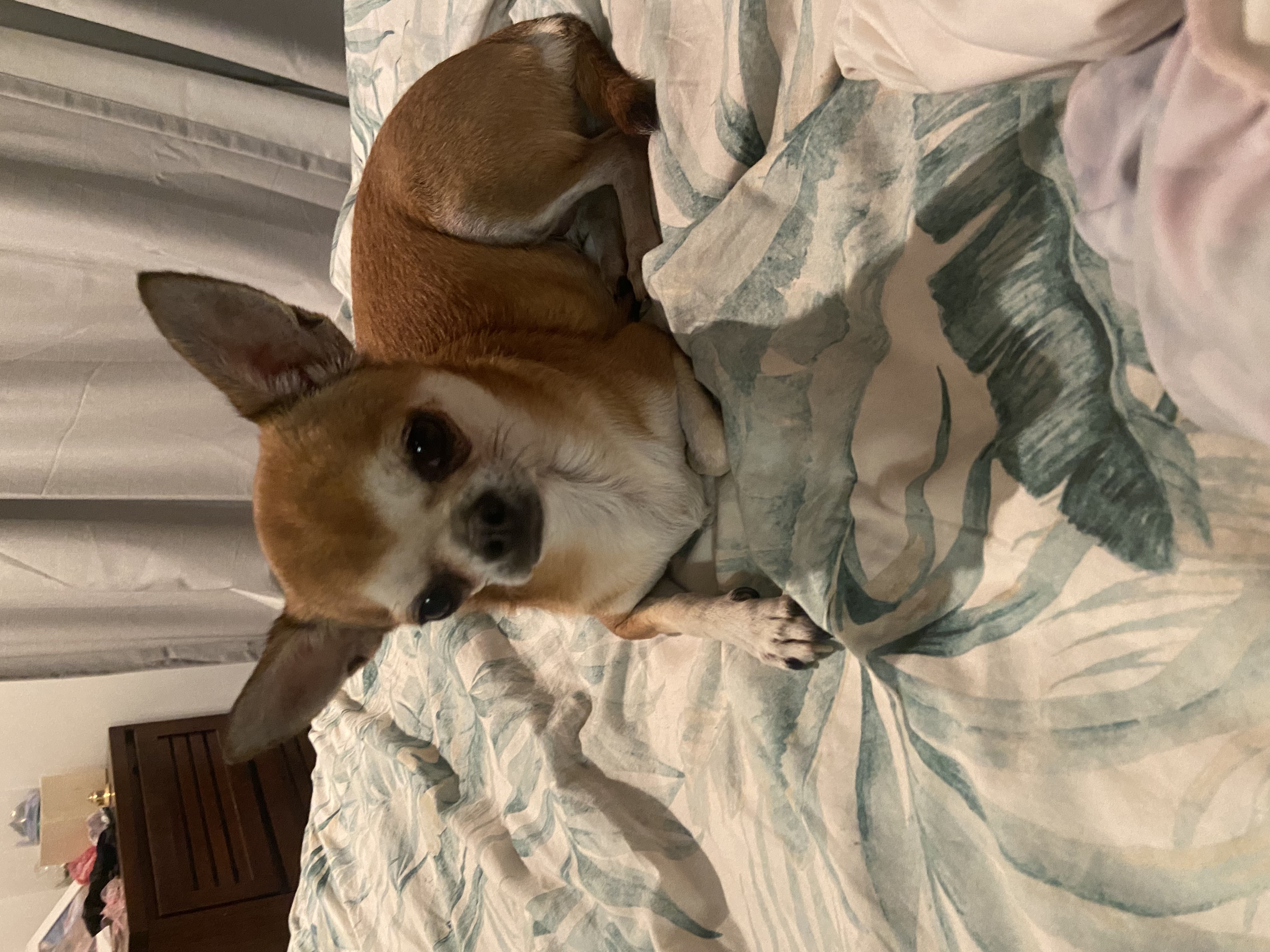 image-13