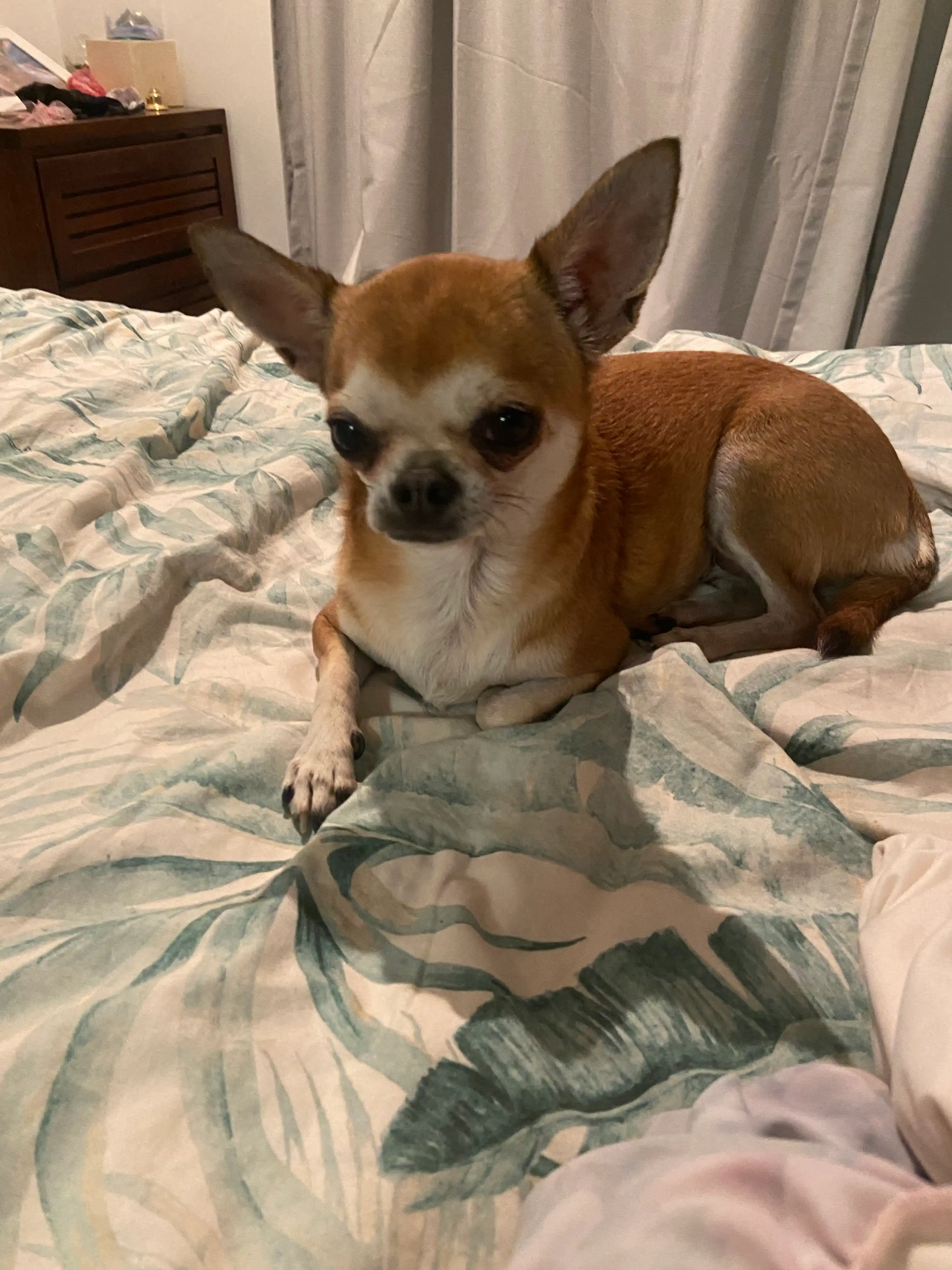 image-13