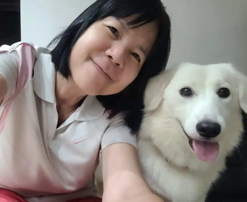 image-7