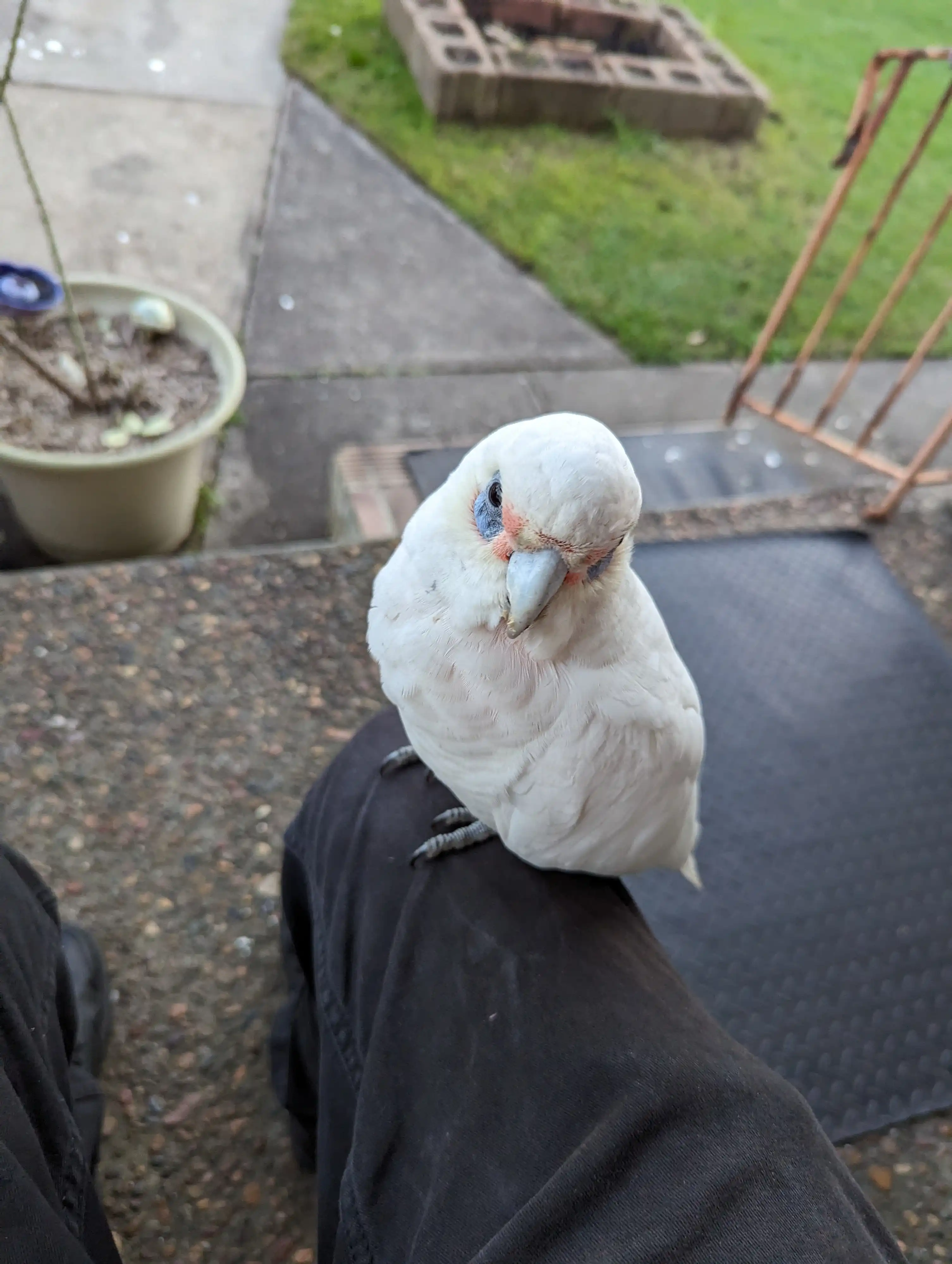 image-7