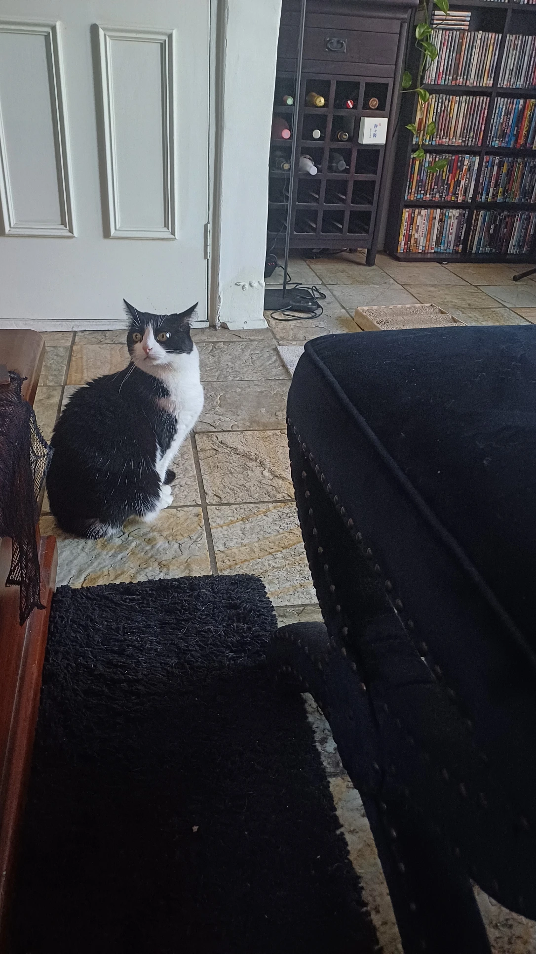 image-10