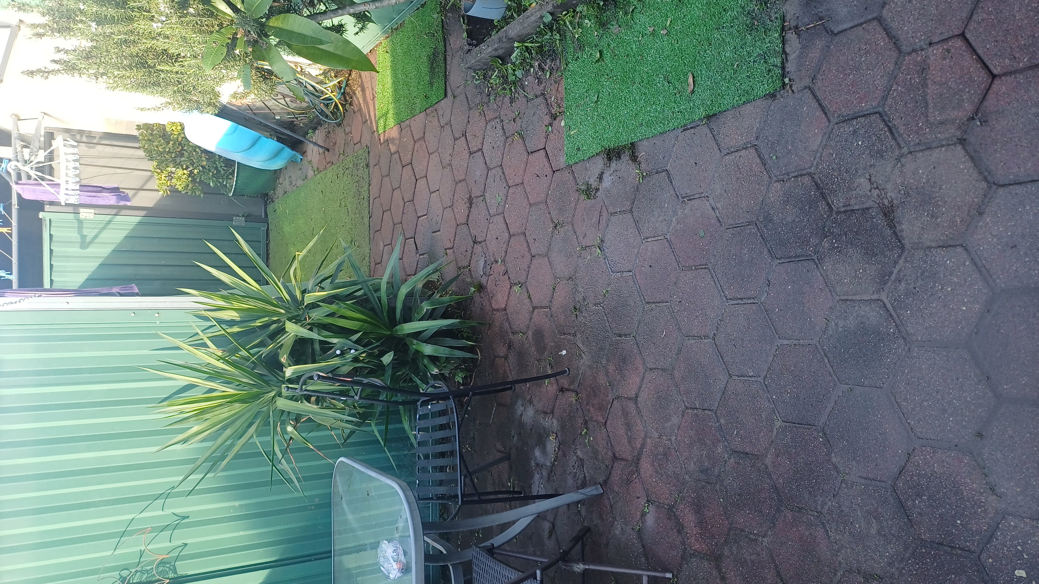 image-17