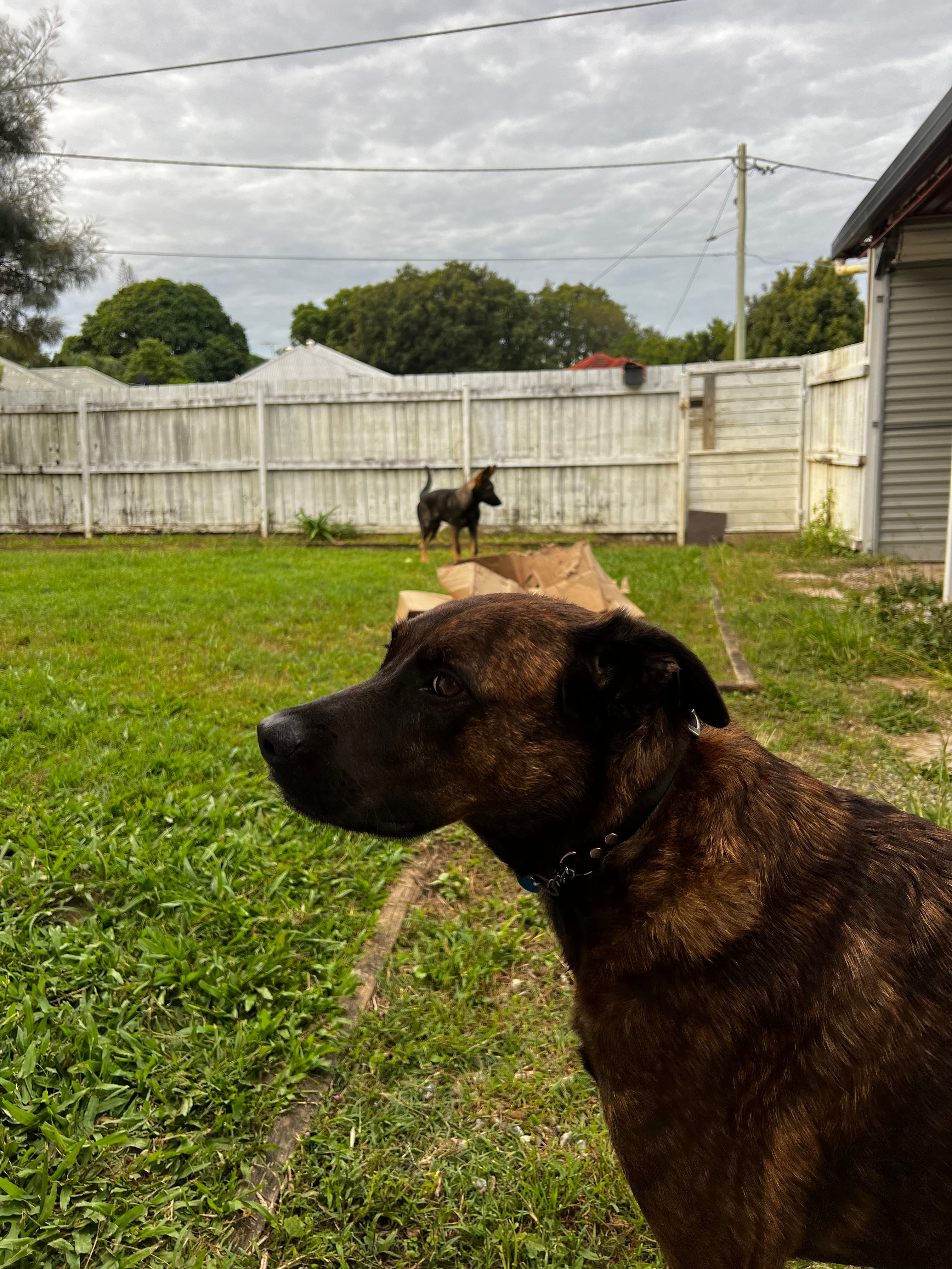 image-18
