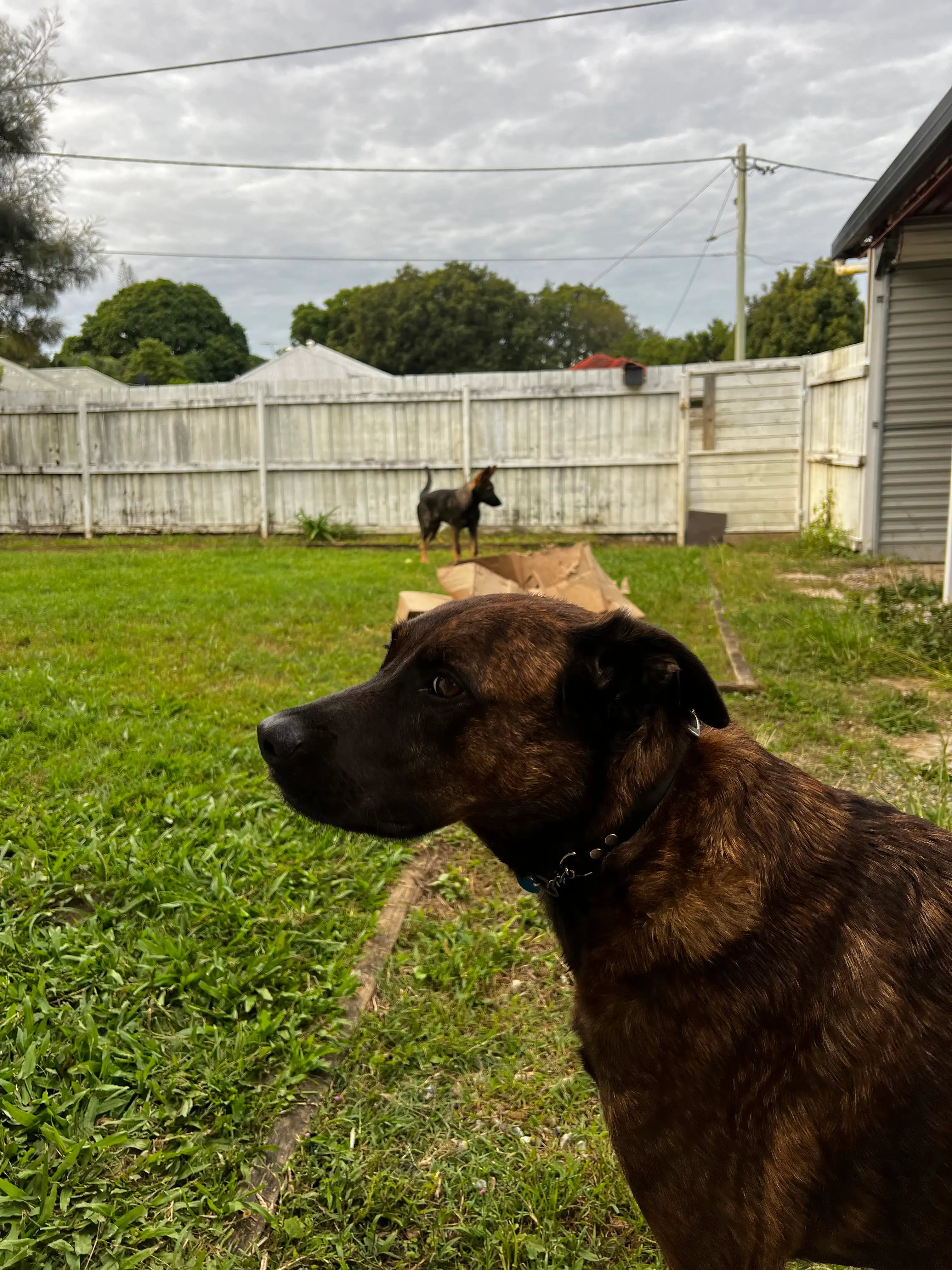 image-18