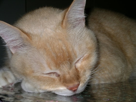 image-6