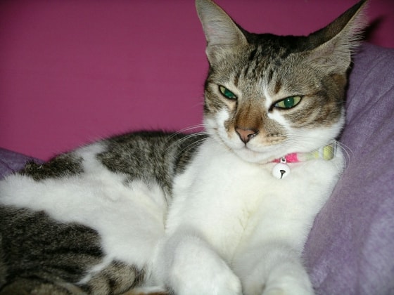 image-7