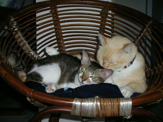 image-5
