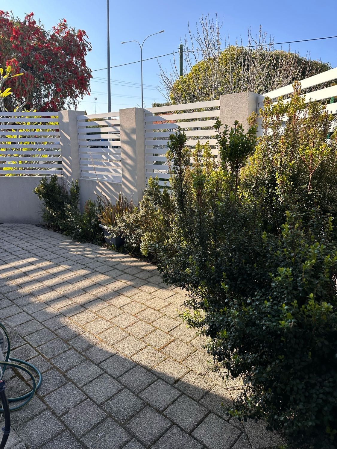 image-3