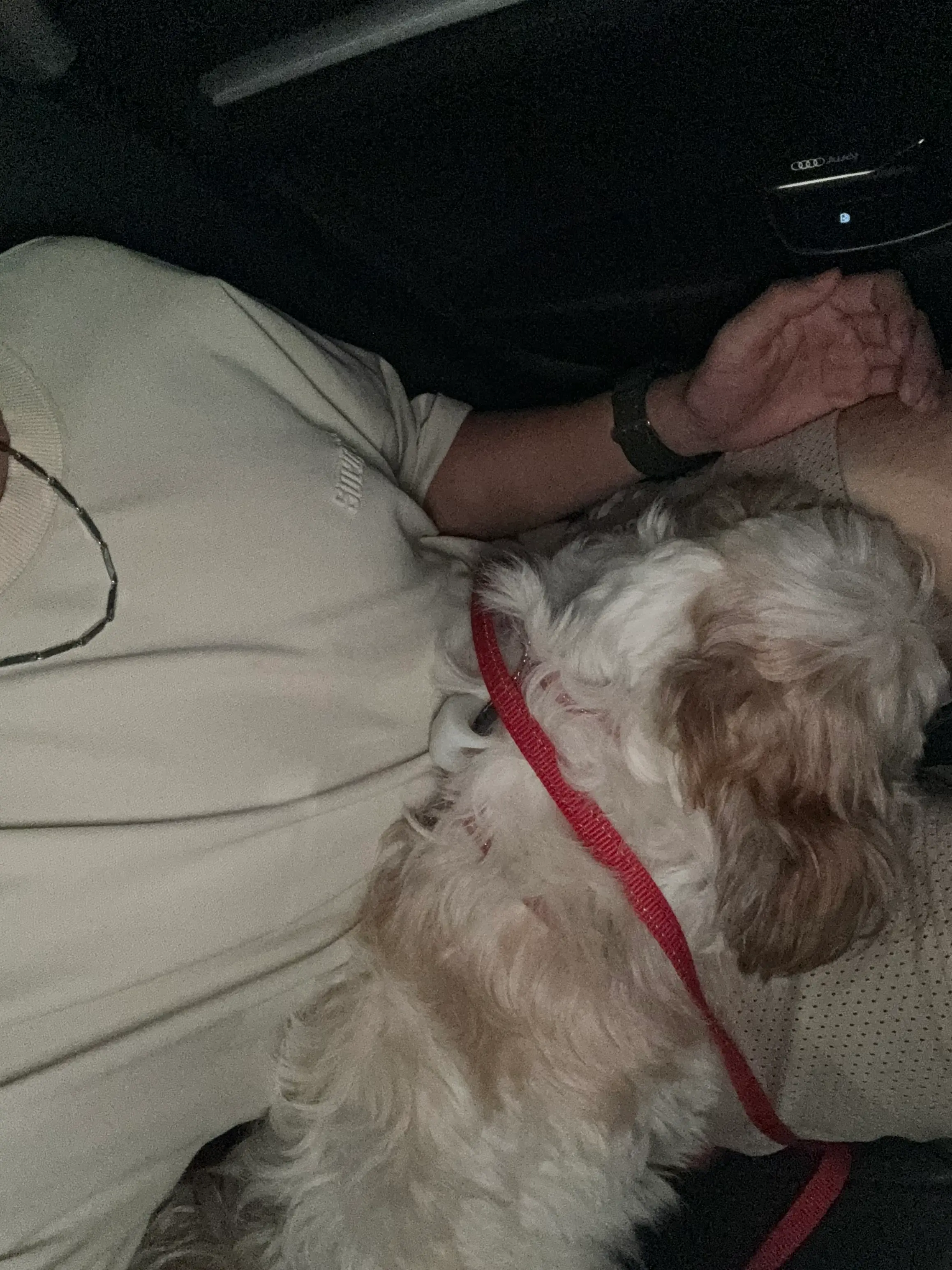 image-3