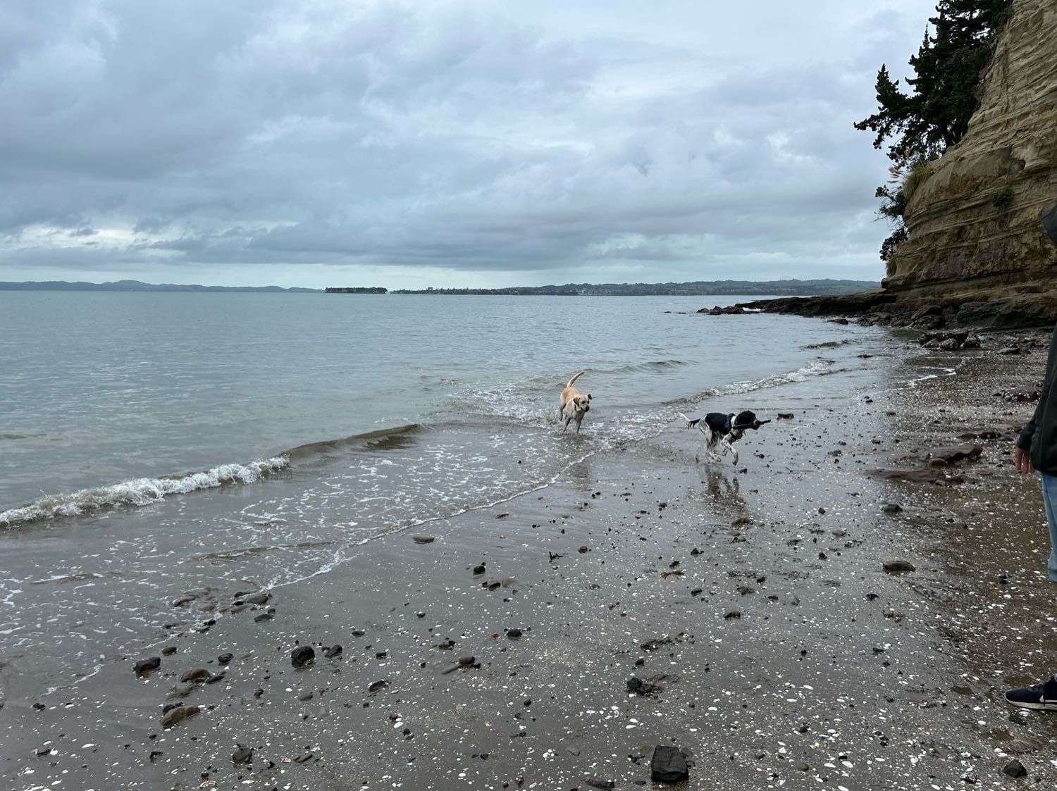 image-5