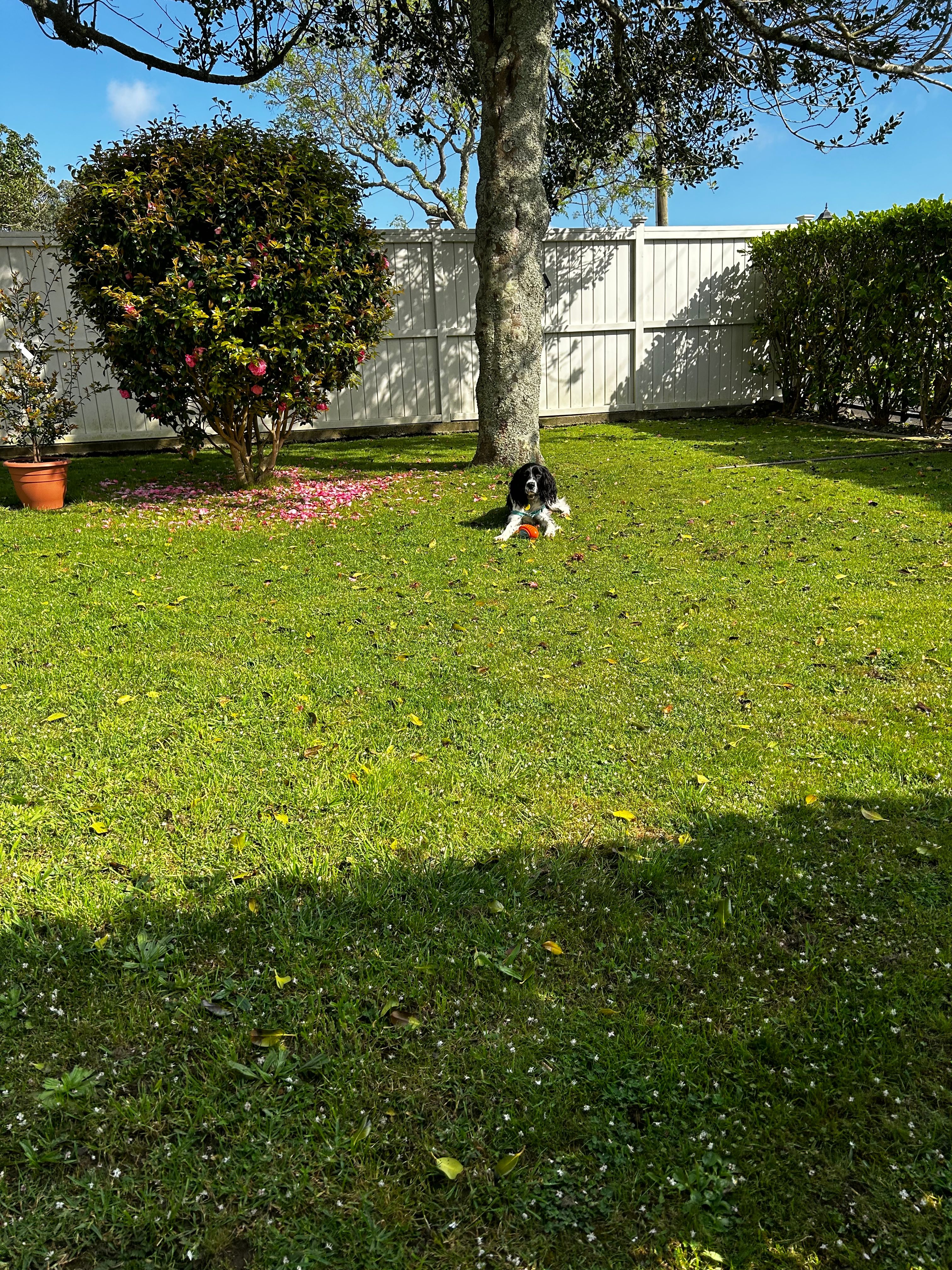 image-16