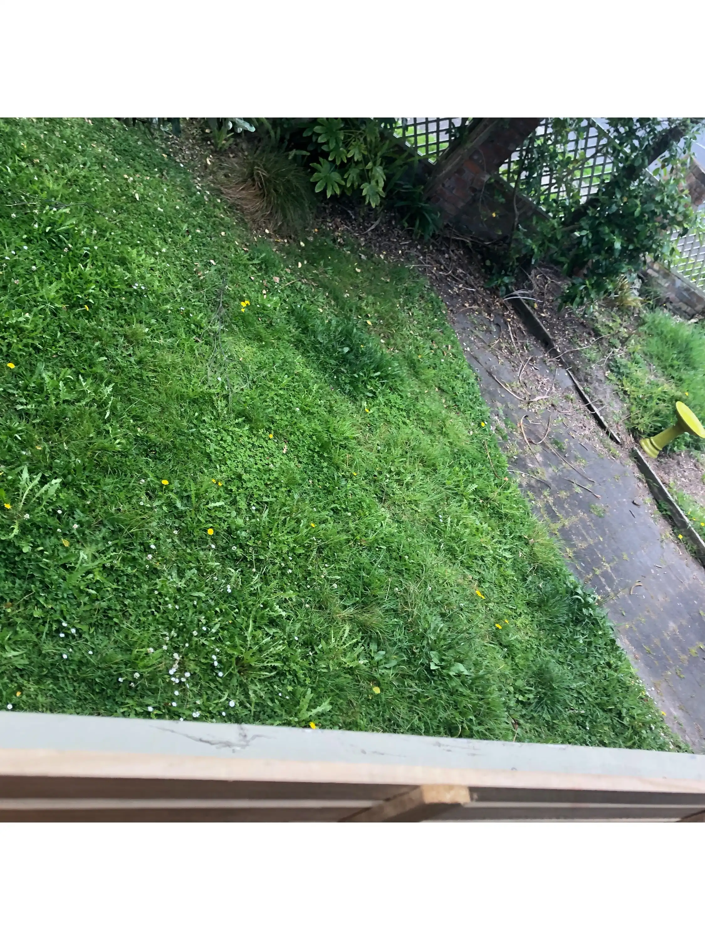 image-13