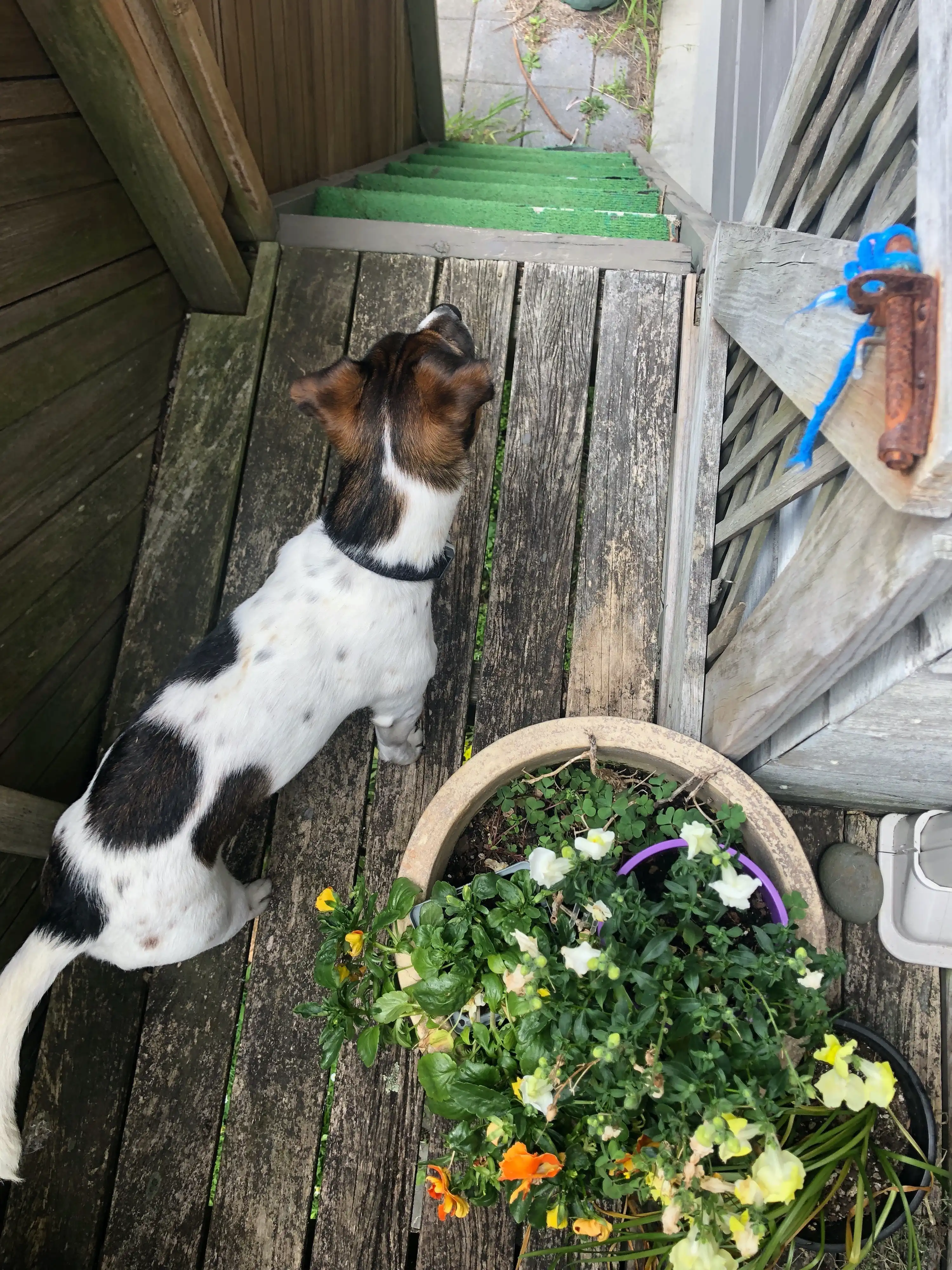 image-10