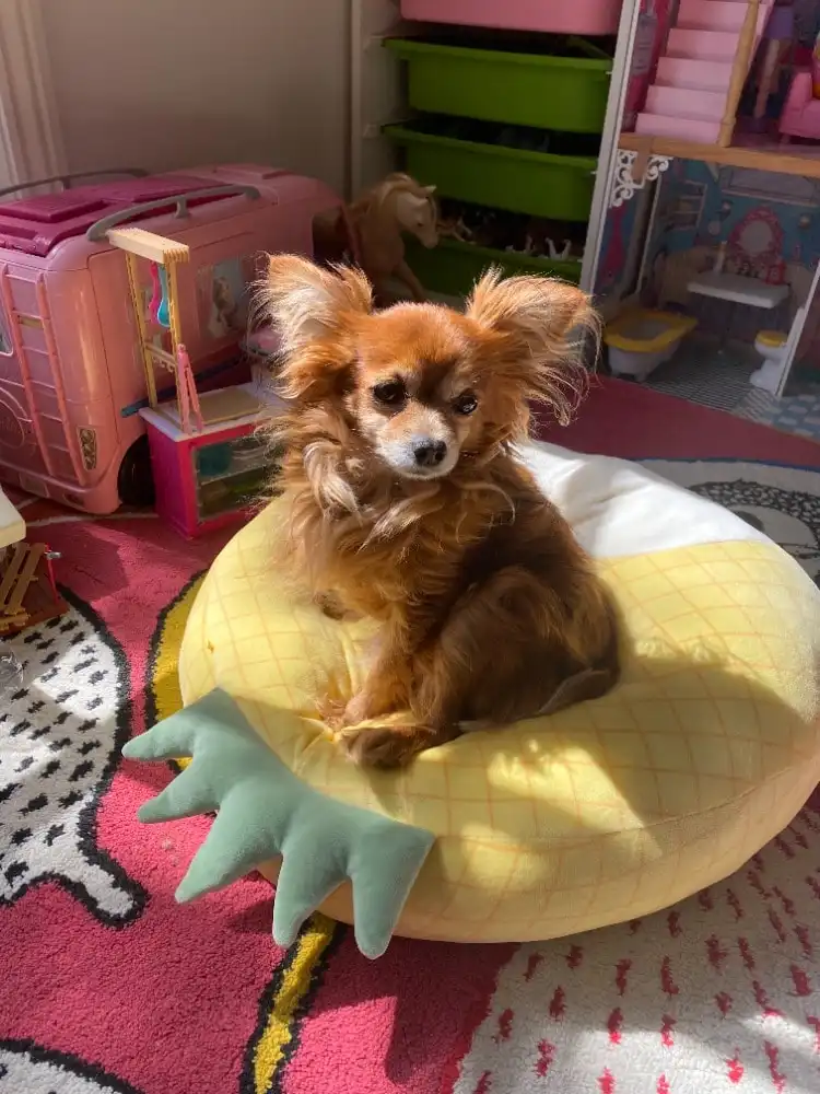 image-6