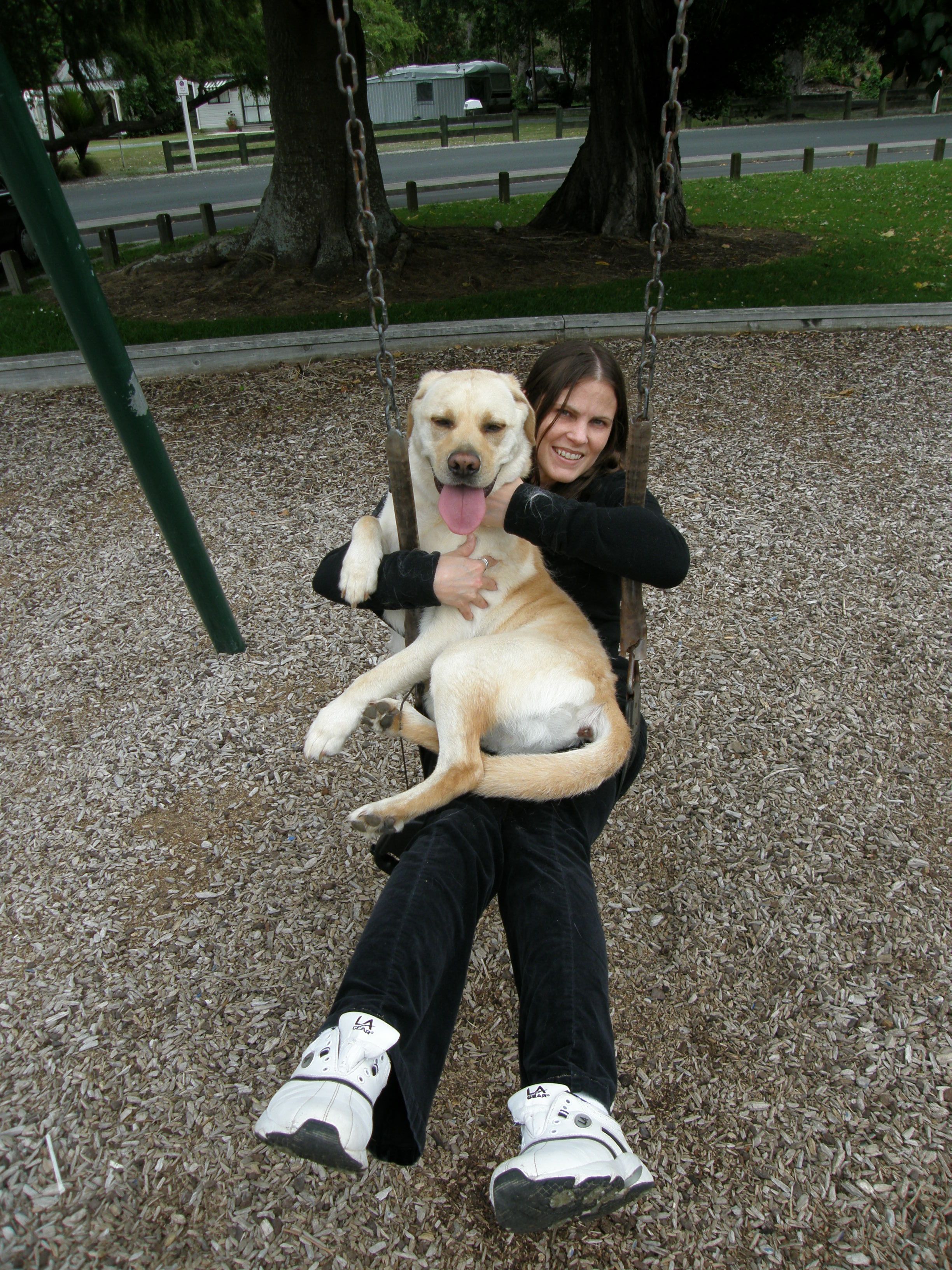 image-3