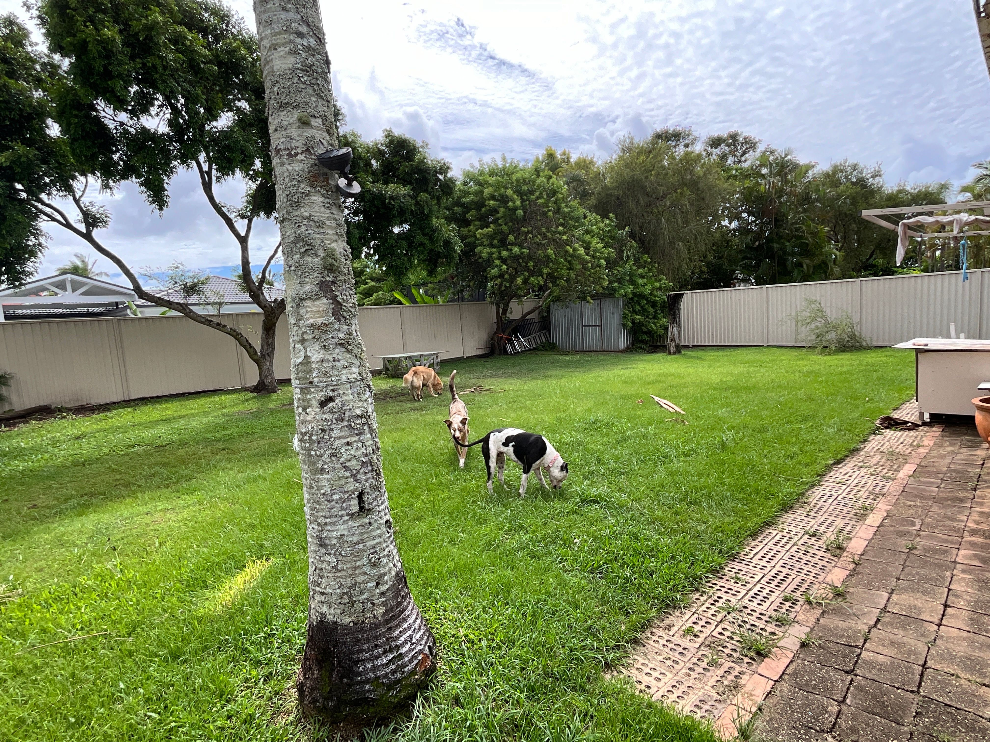 image-20