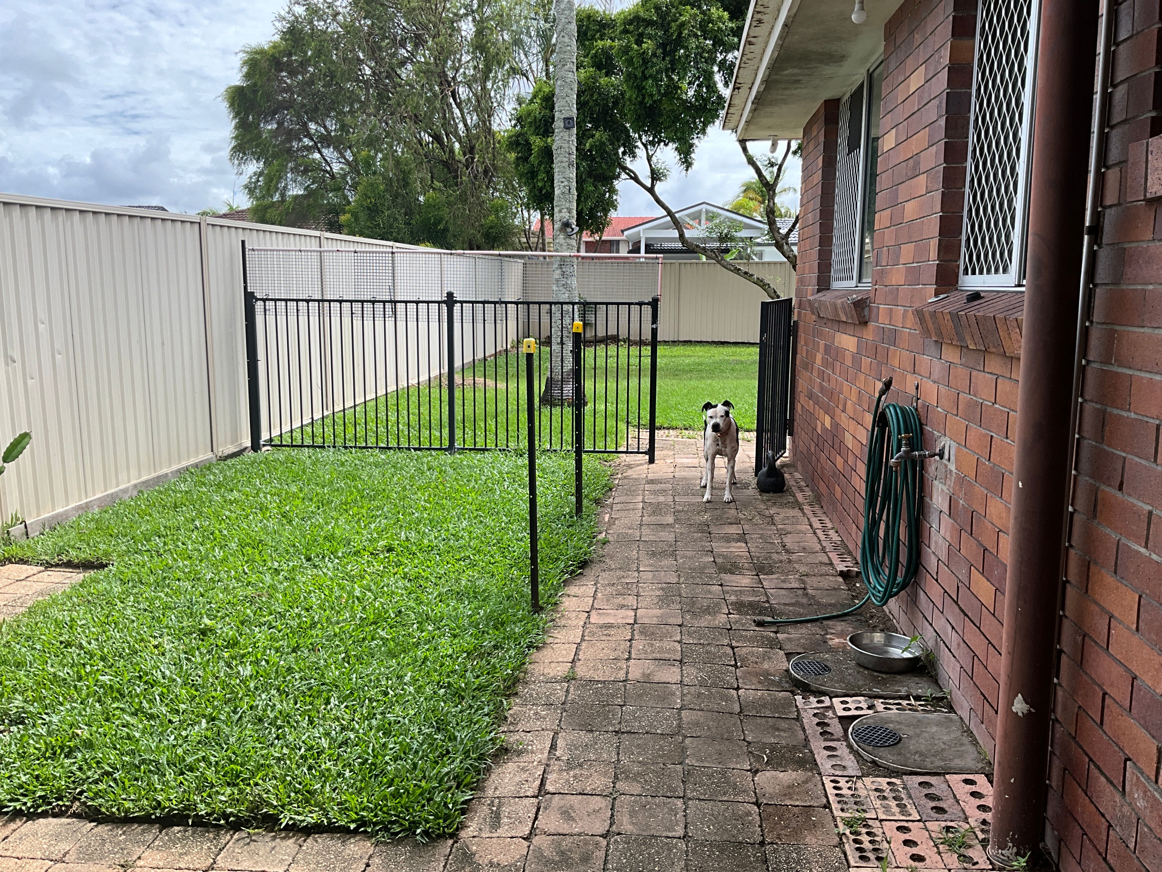 image-19