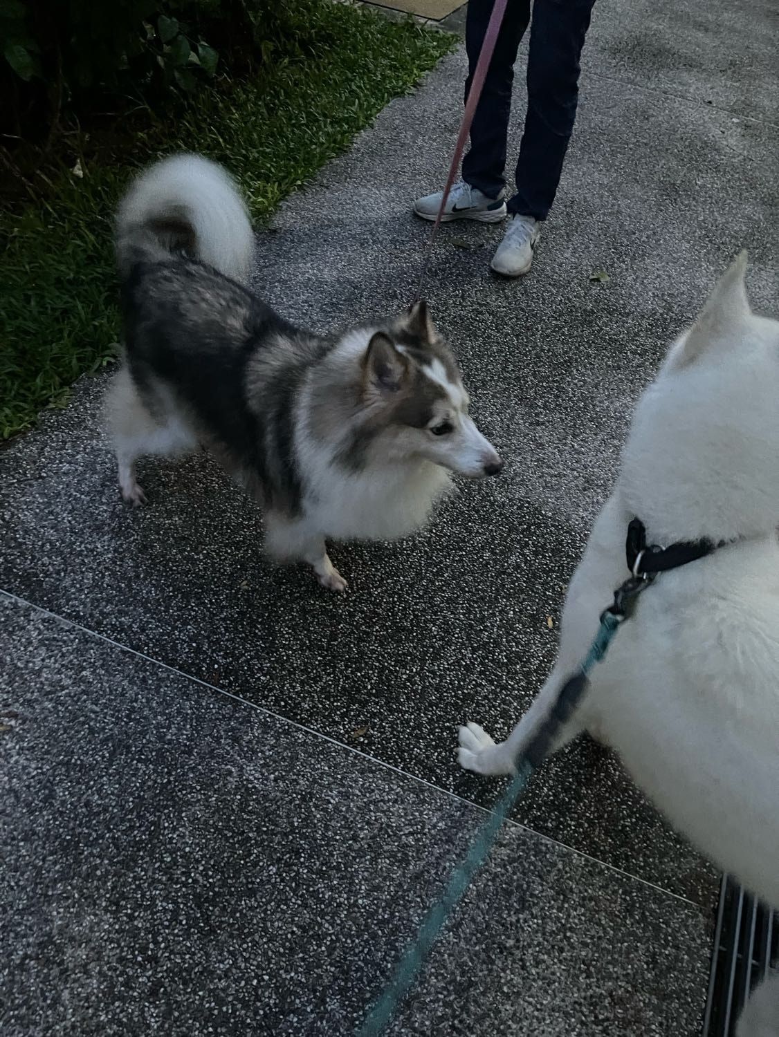 image-10