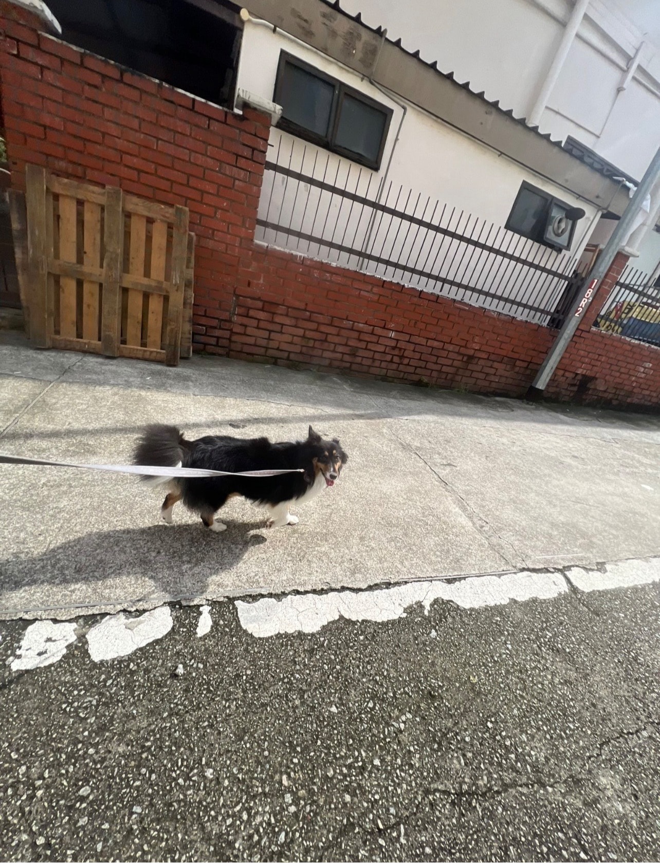 image-8