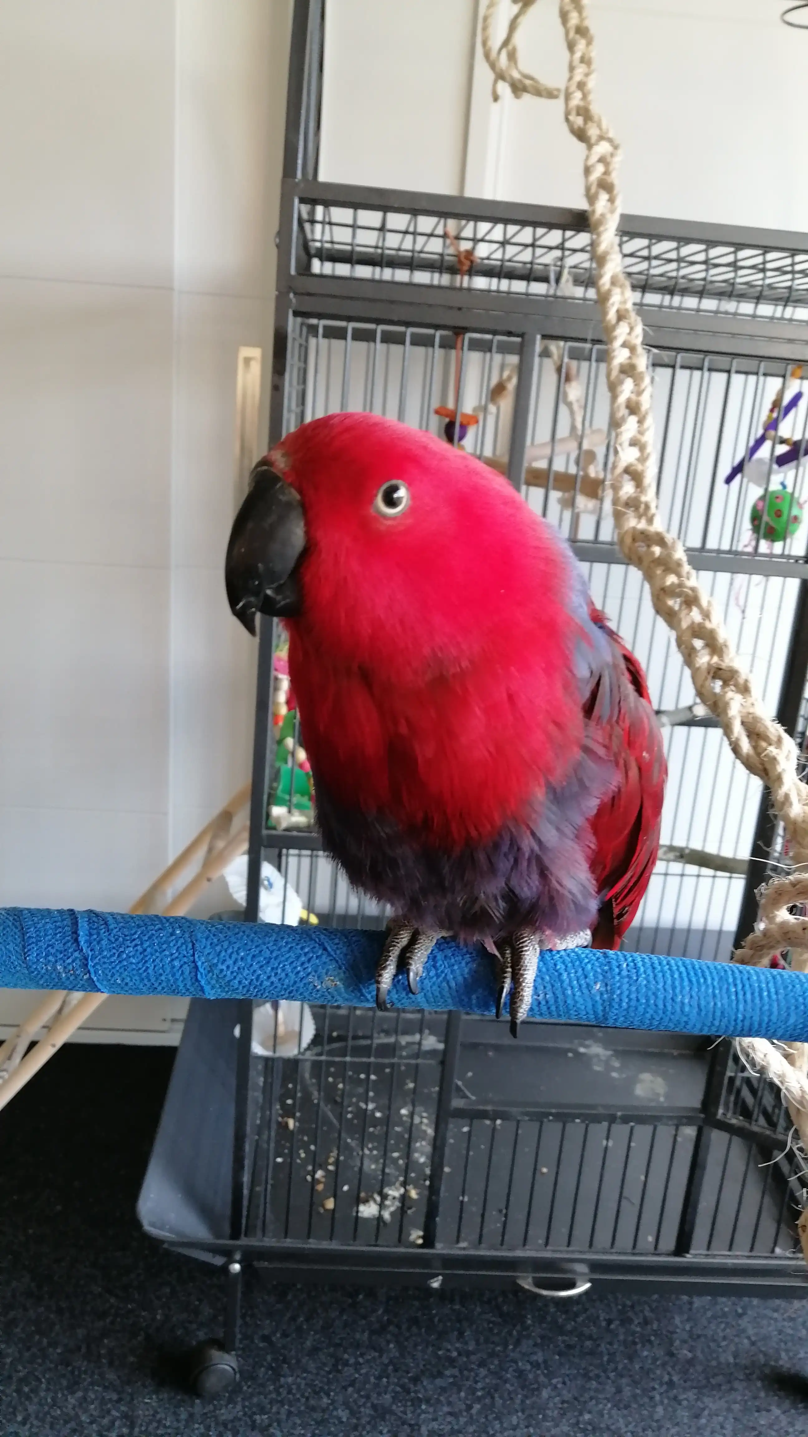 image-10