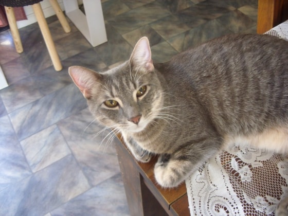 image-2