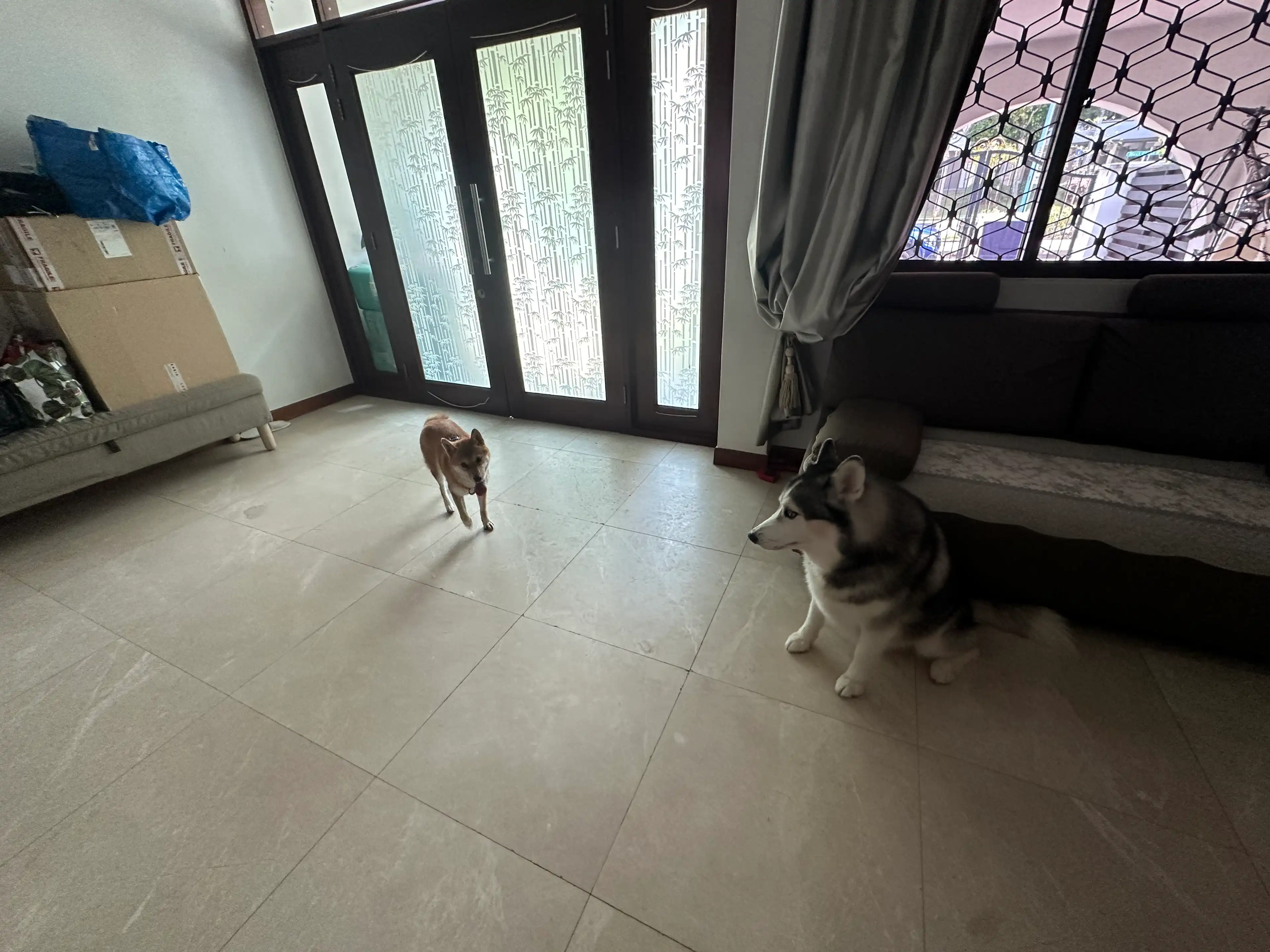 image-28